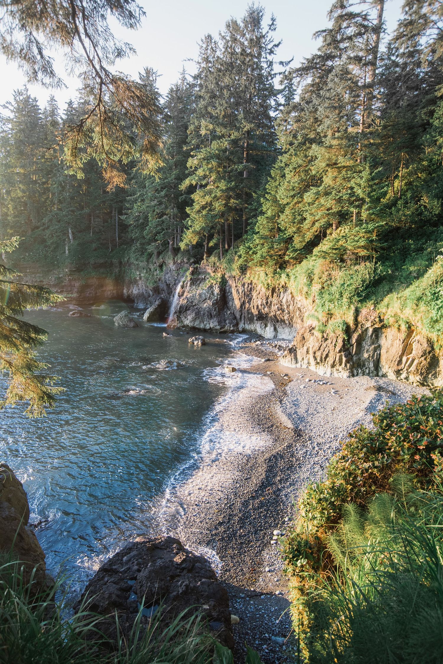 Rocky coastline cove with evergreen trees and clear blue waters.