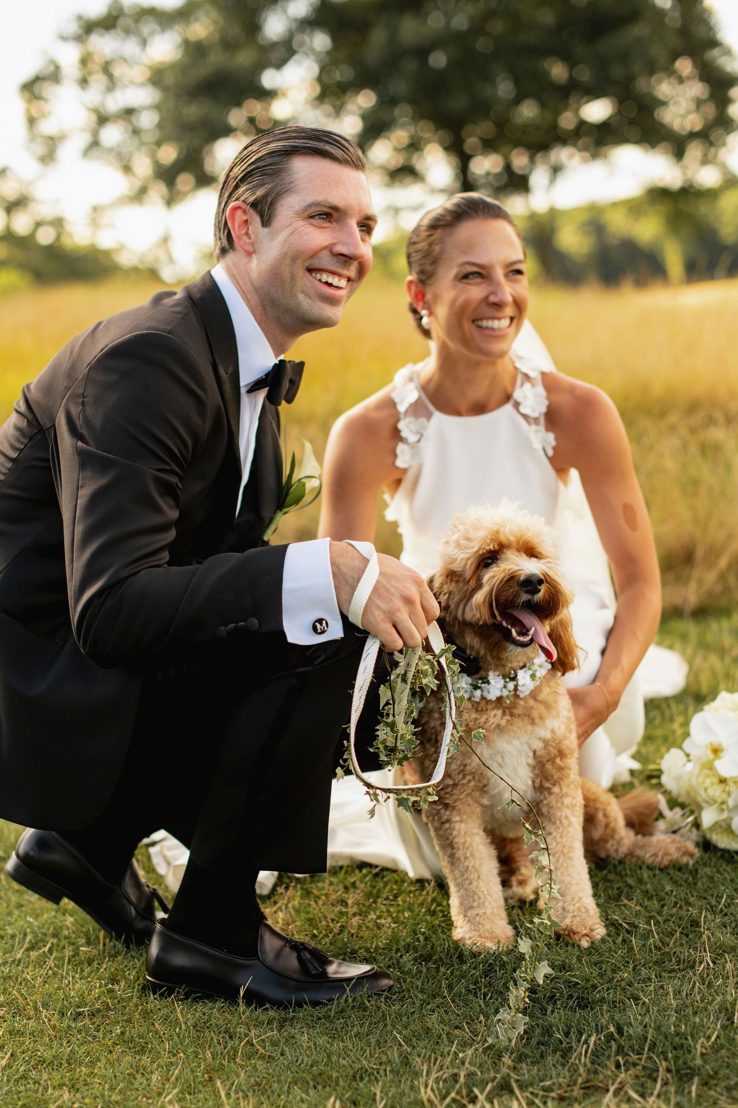 Wedding couple playing with their small brown dog on grassy hill during golden hour.