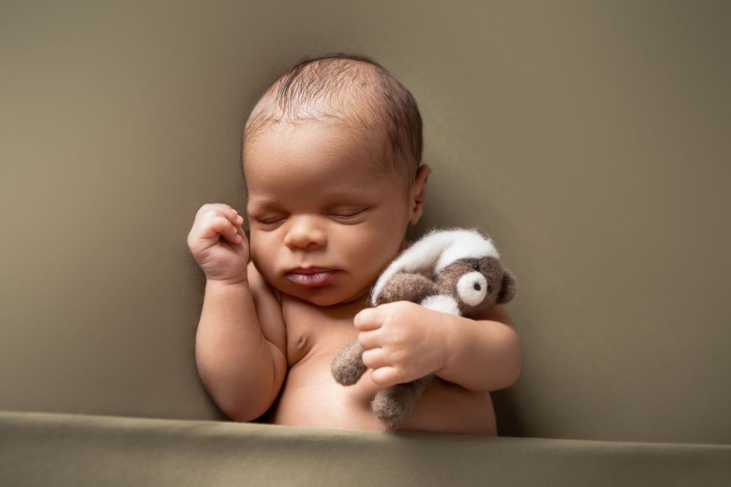 Peaceful newborn baby sleeping while holding a small stuffed animal toy, captured in a professional portrait photo.