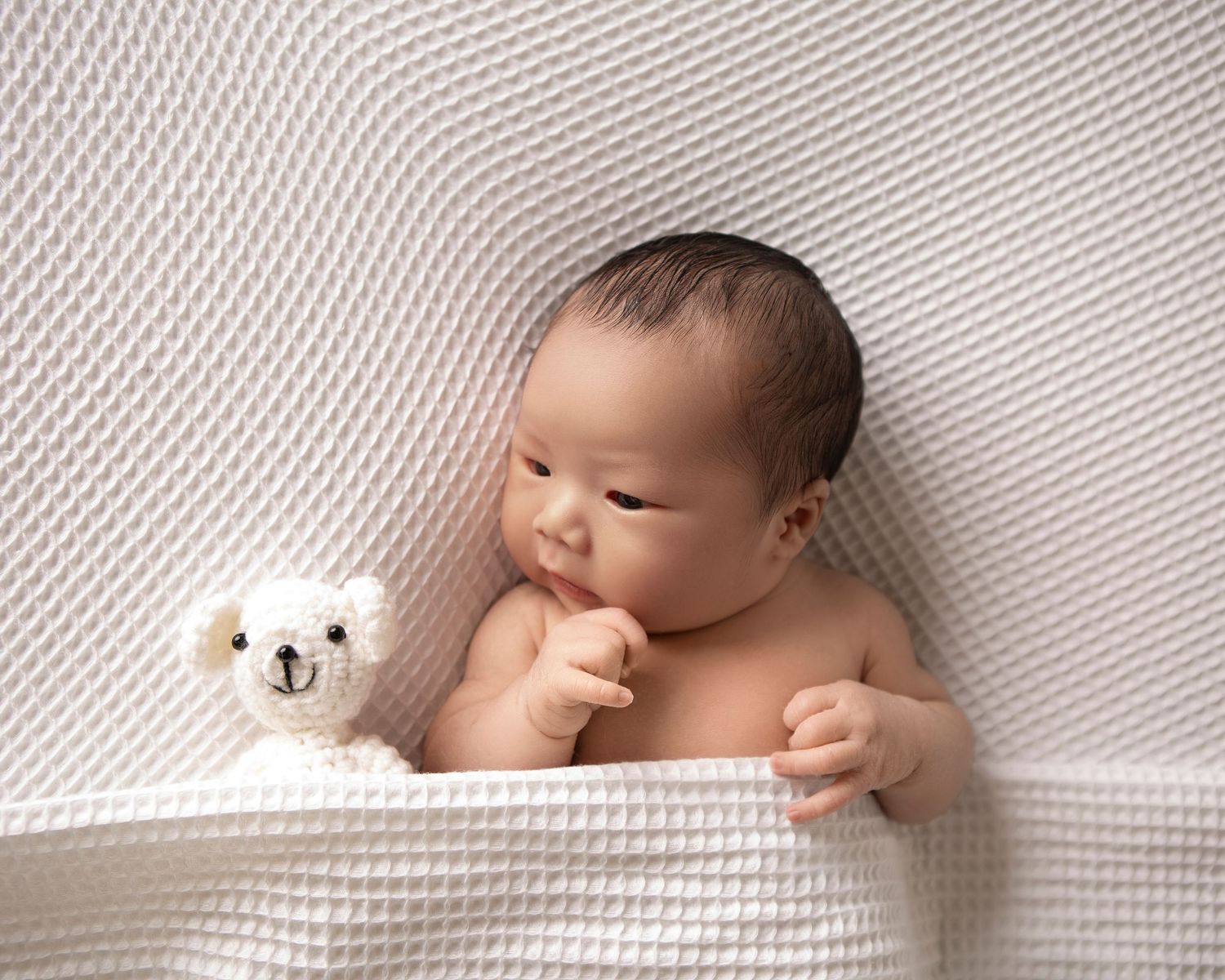 A sweet newborn portrait of baby gazing at a teddy bear, set against a clean, soft white backdrop.