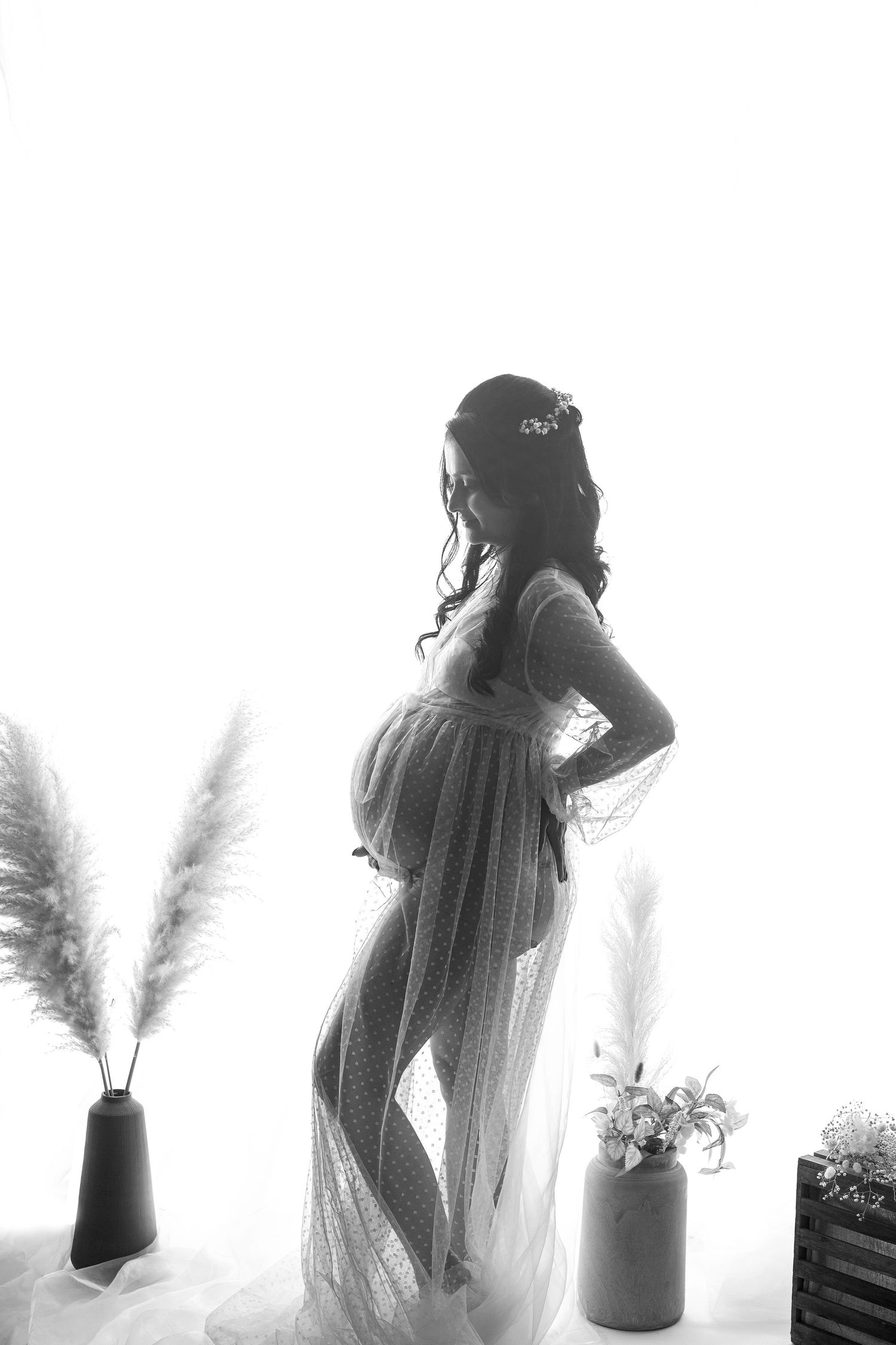 Black and white silhouette of pregnant woman in sheer gown with pampas grass decor in studio.