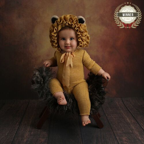 Award-winning photo of a baby in a lion costume sitting on a chair with a fluffy fur seat.