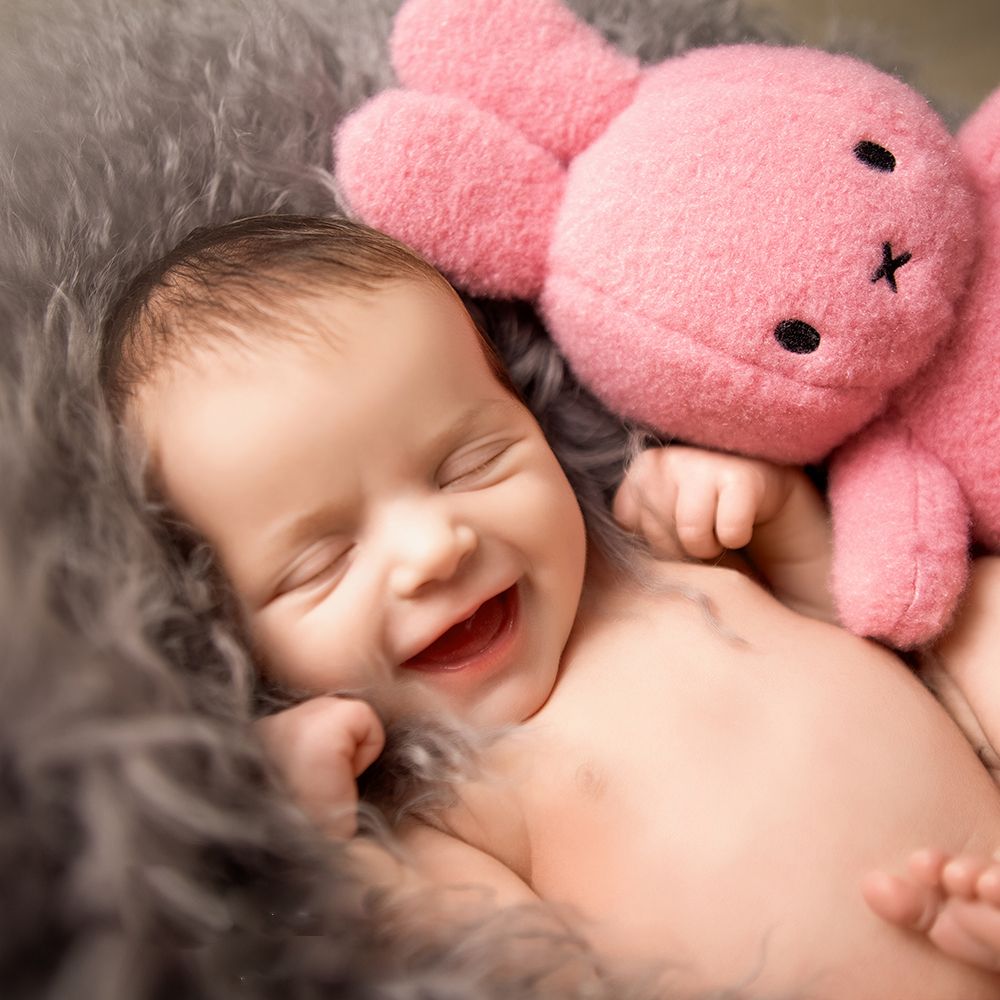 A laughing newborn baby snuggled in gray fur with a pink stuffed bunny toy, capturing a joyful and adorable moment.