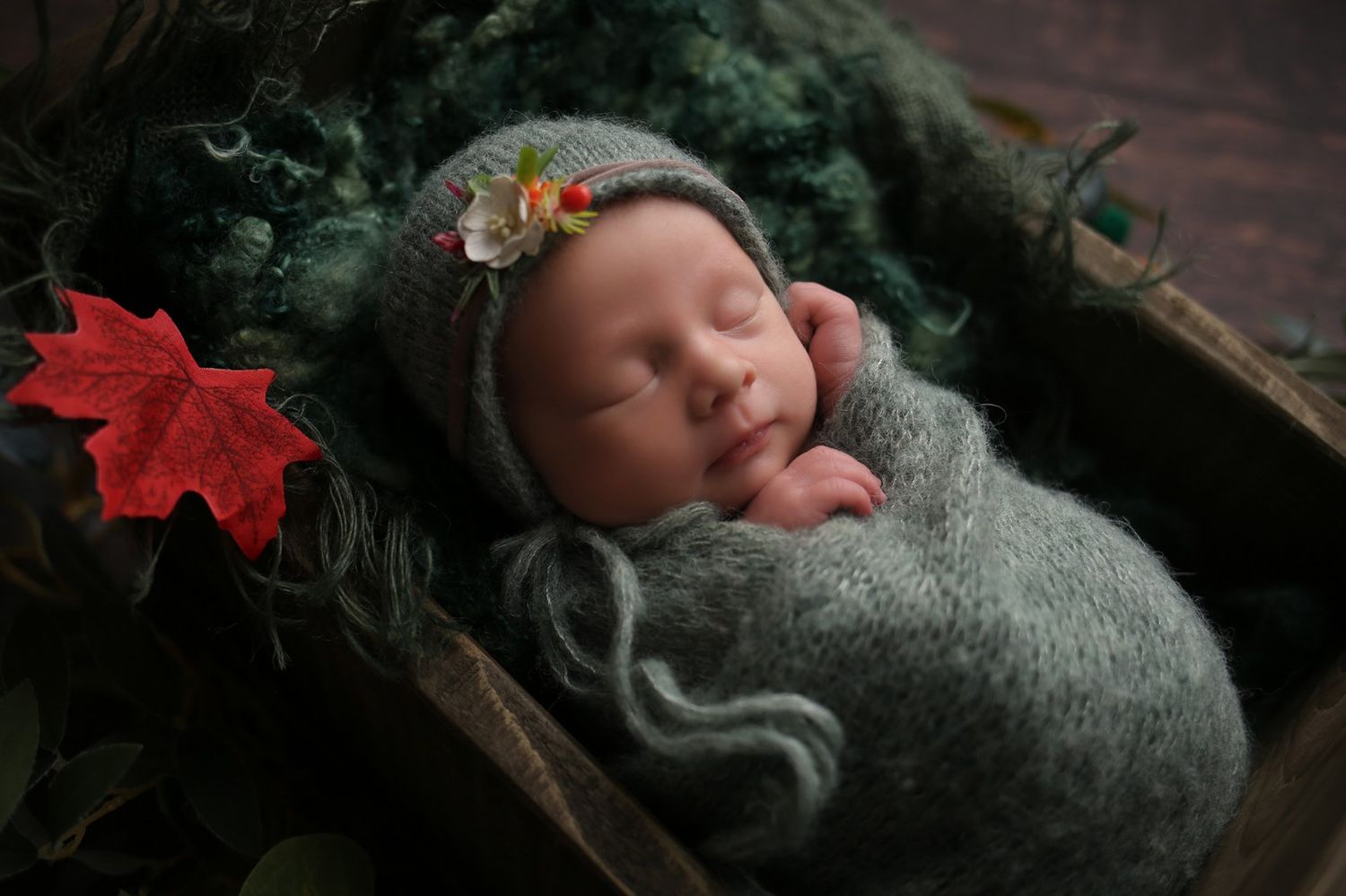 Sleeping newborn baby wrapped in gray knit swaddle and bonnet with flower, nestled in wooden box with red maple leaf.