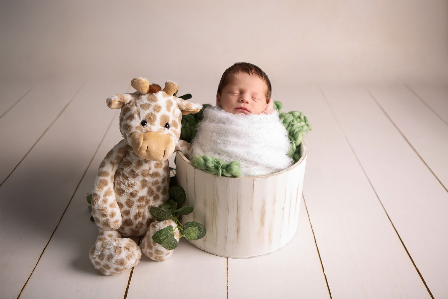 Newborn baby boy wrapped in a white fluffy wrap whilst delicately placed in a round box with his best friend and giraffe next to him.