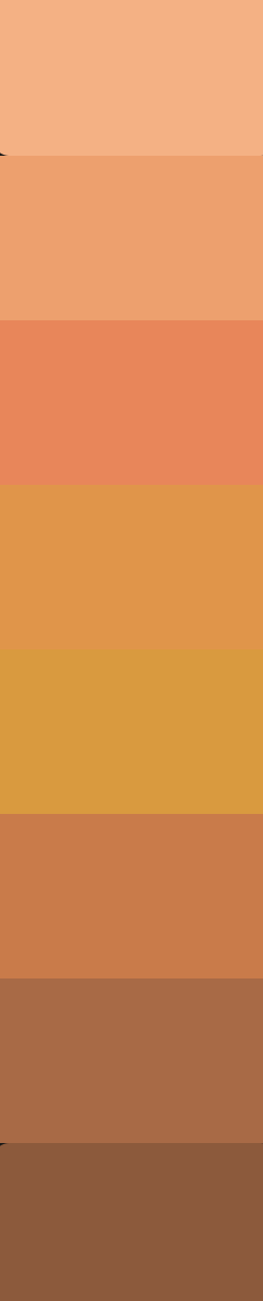 A gradient color palette swatch displaying warm tones from light peach at top to deep brown at bottom.