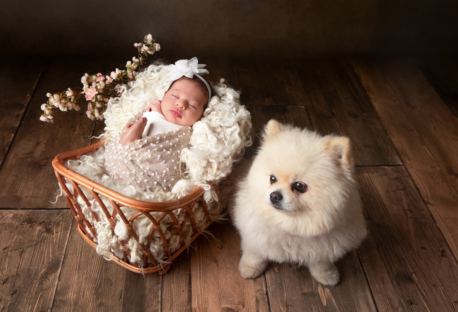A heartwarming newborn portrait featuring the family dog, capturing a gentle and protective family bond.
