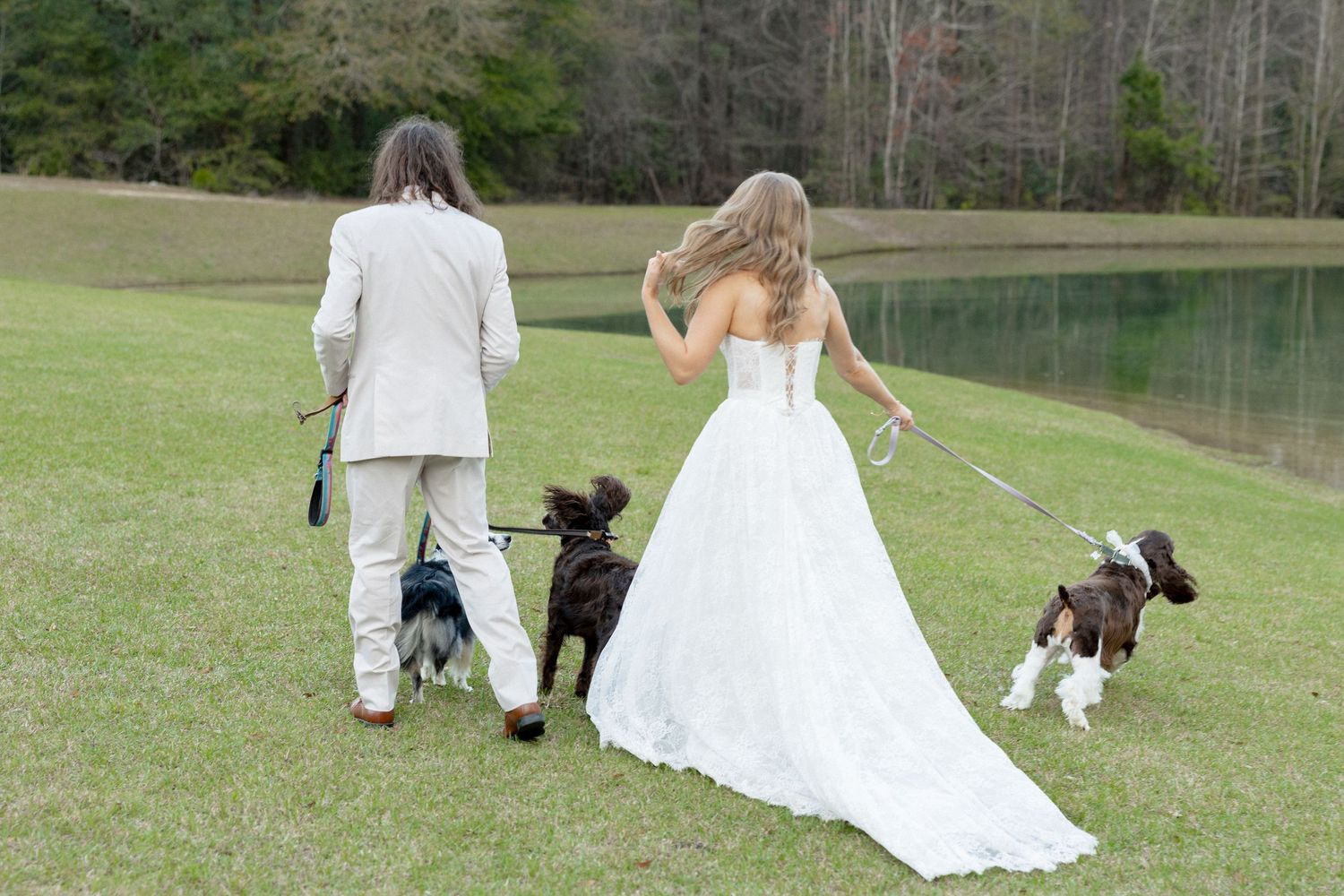 Bride and groom walking away with three dogs toward a pond at an outdoor wedding.