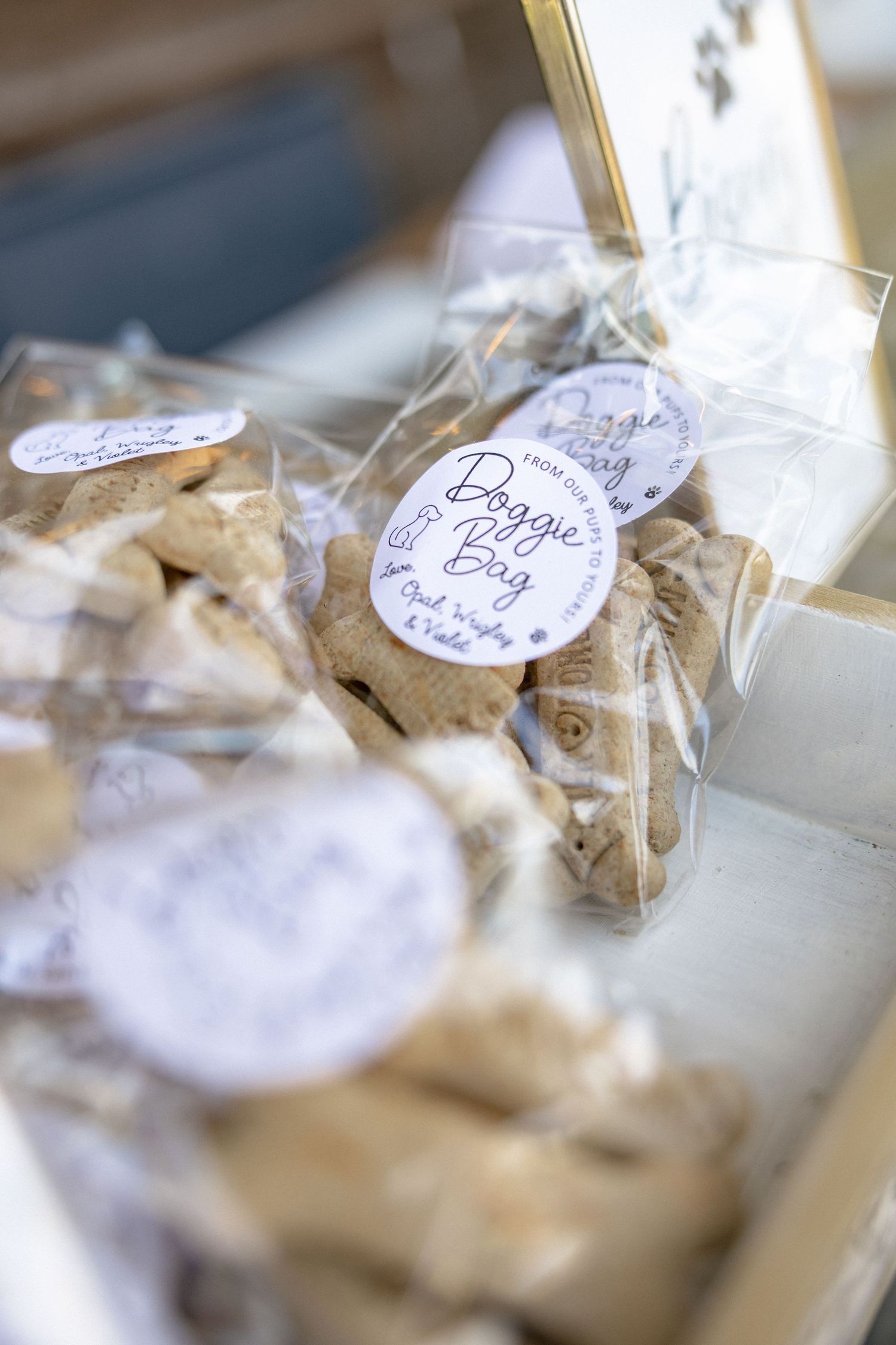 Packaged doggie bag wedding favors with bone-shaped treats labeled for guests at rustic wedding reception.