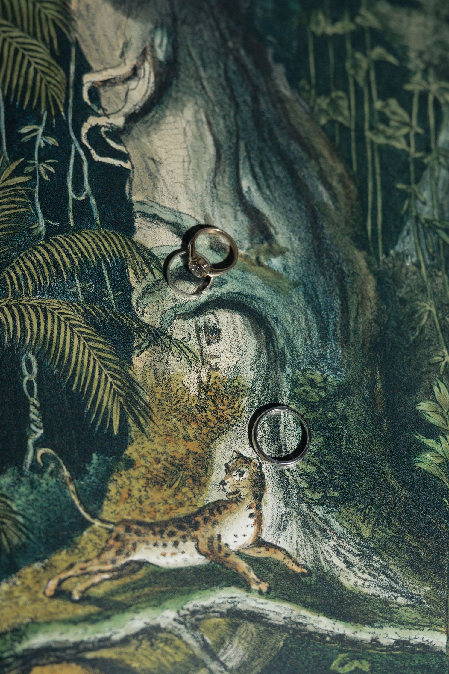 Two wedding bands artfully placed on a vintage jungle illustration featuring a leopard among tropical foliage.
