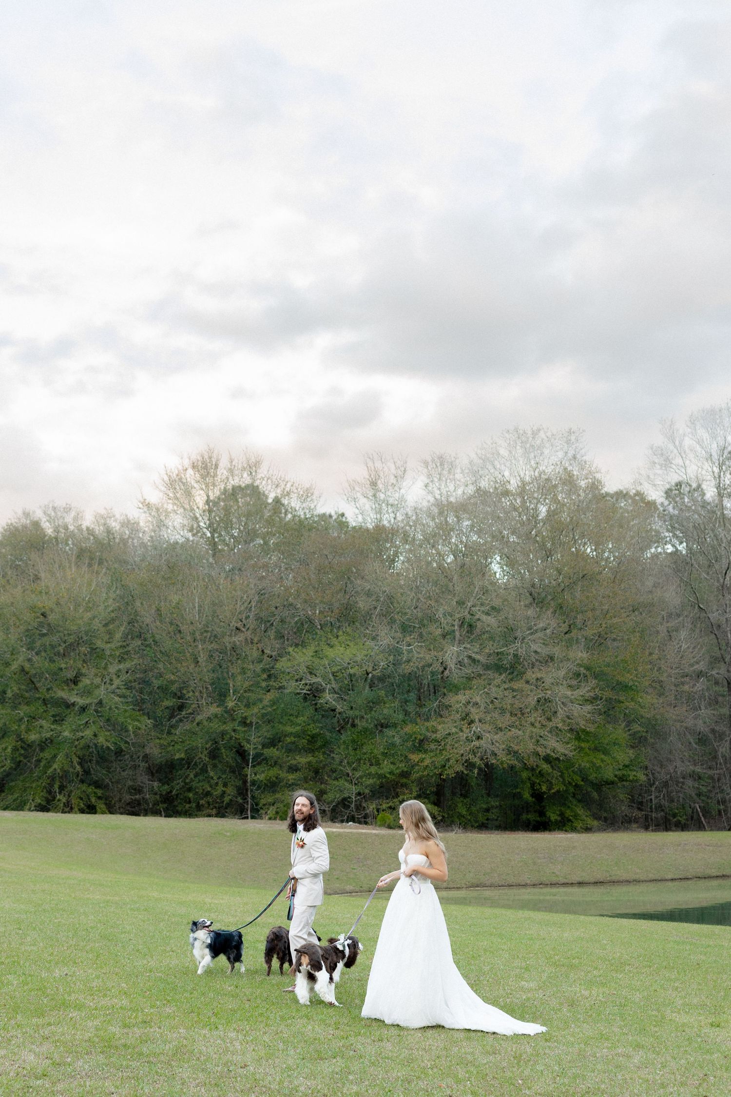 Bride and groom holding leashes with three dogs on an open green field at their wedding.