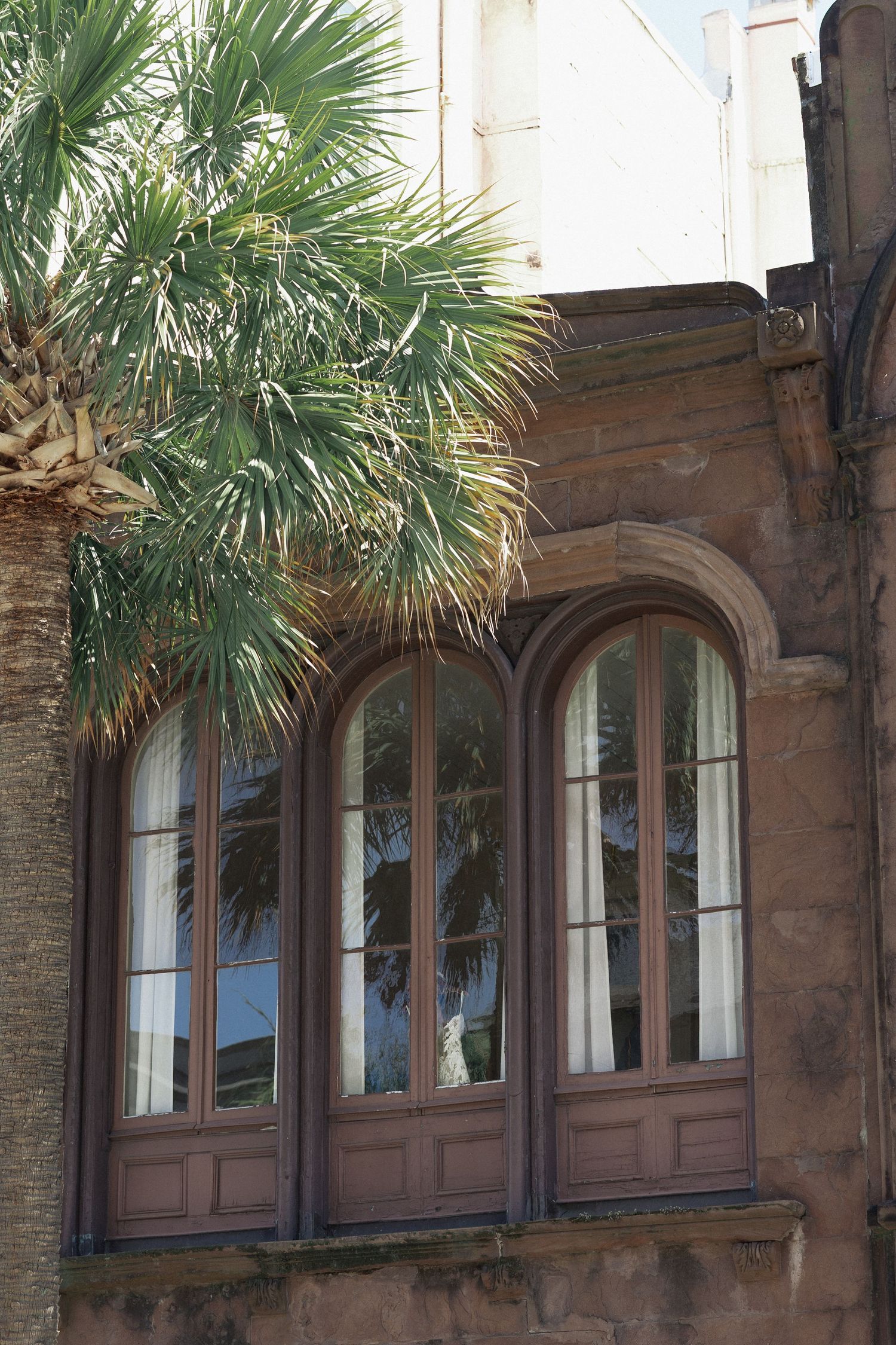 Historic brick building with arched wooden windows and lush palm tree fronds in a sunny Southern architectural setting.
