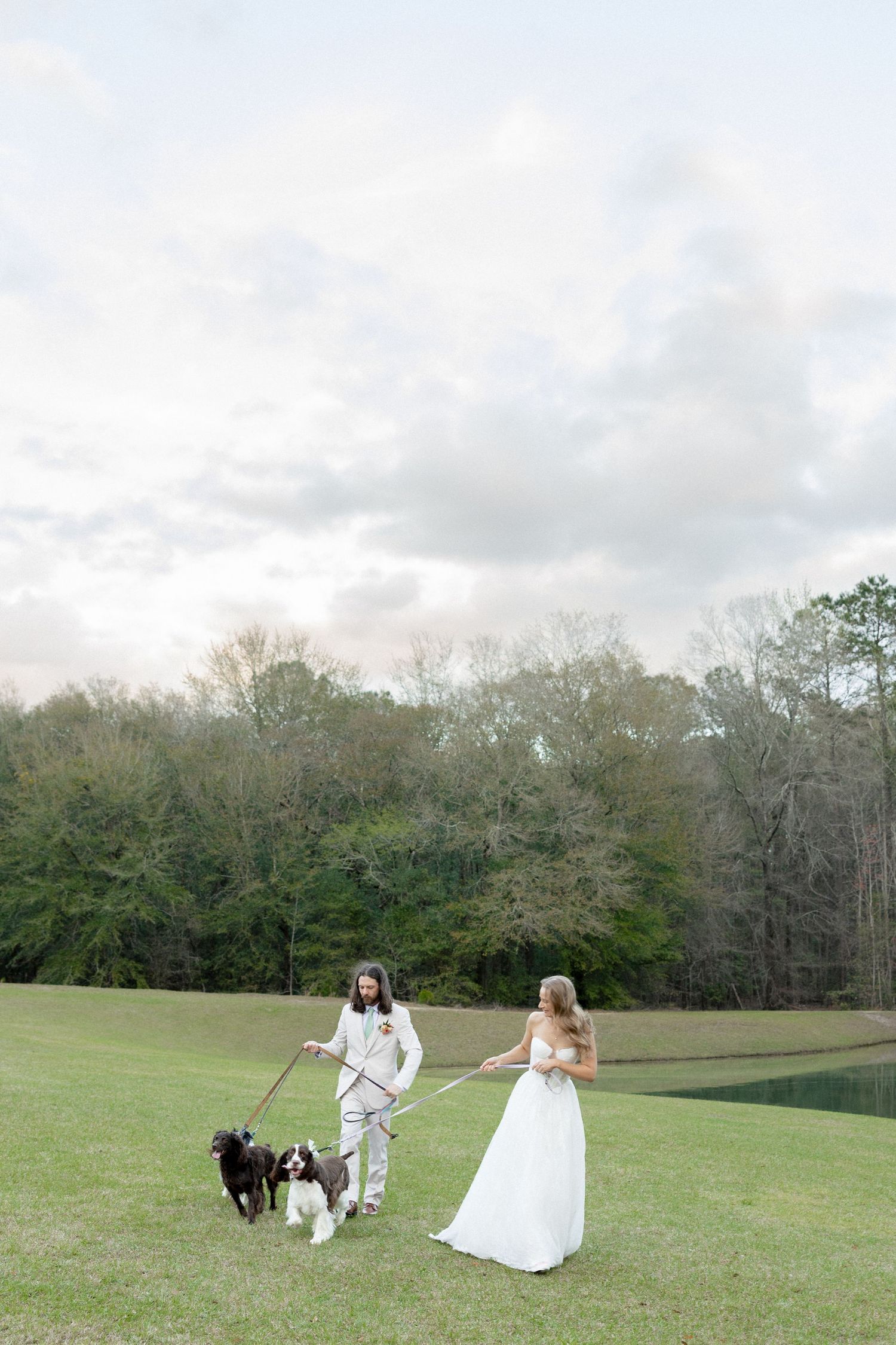 Bride and groom walking three dogs across a wide green lawn at an outdoor wedding.