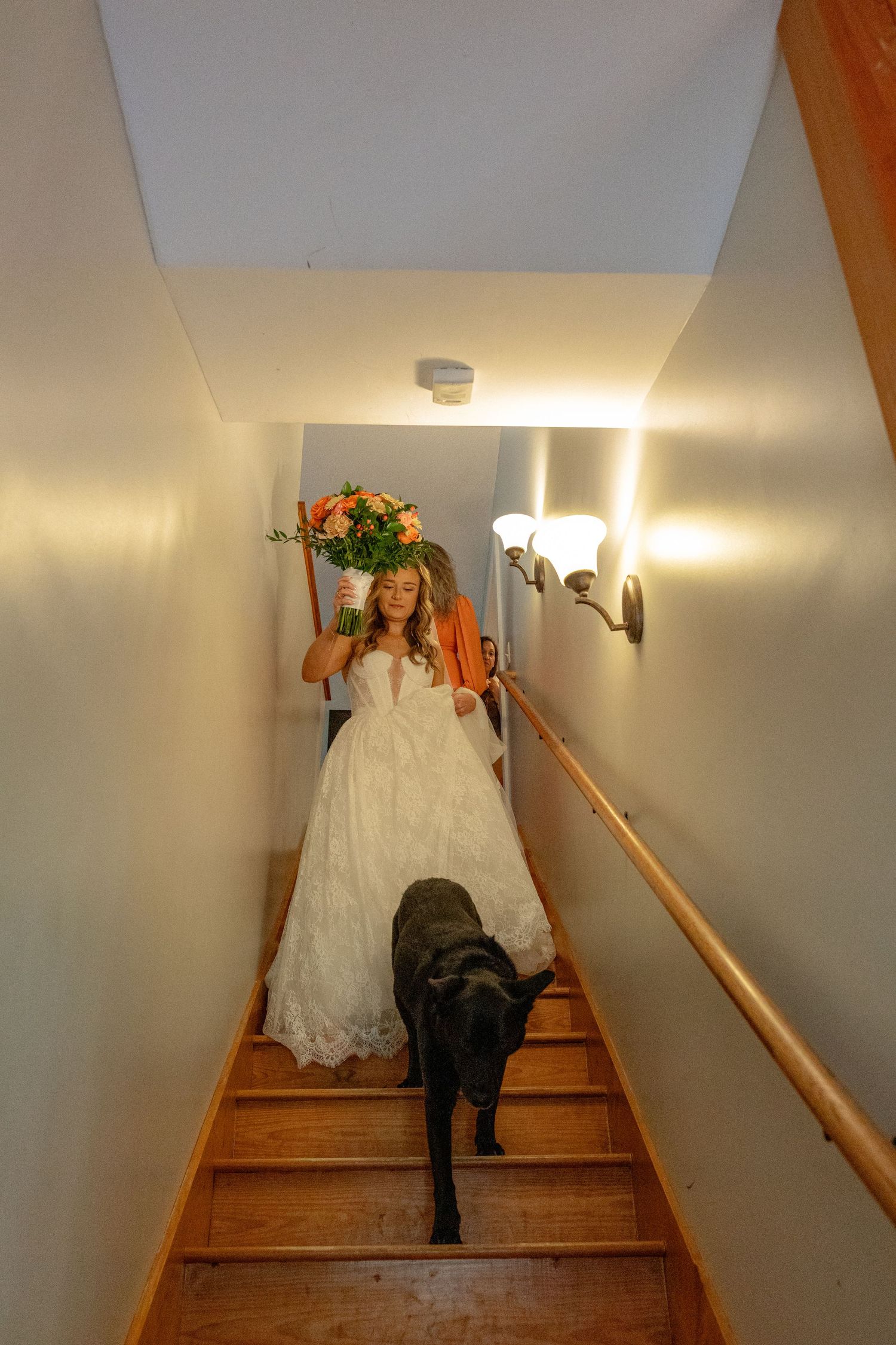 Bride in white gown descending wooden staircase with orange bouquet and black dog at her side.