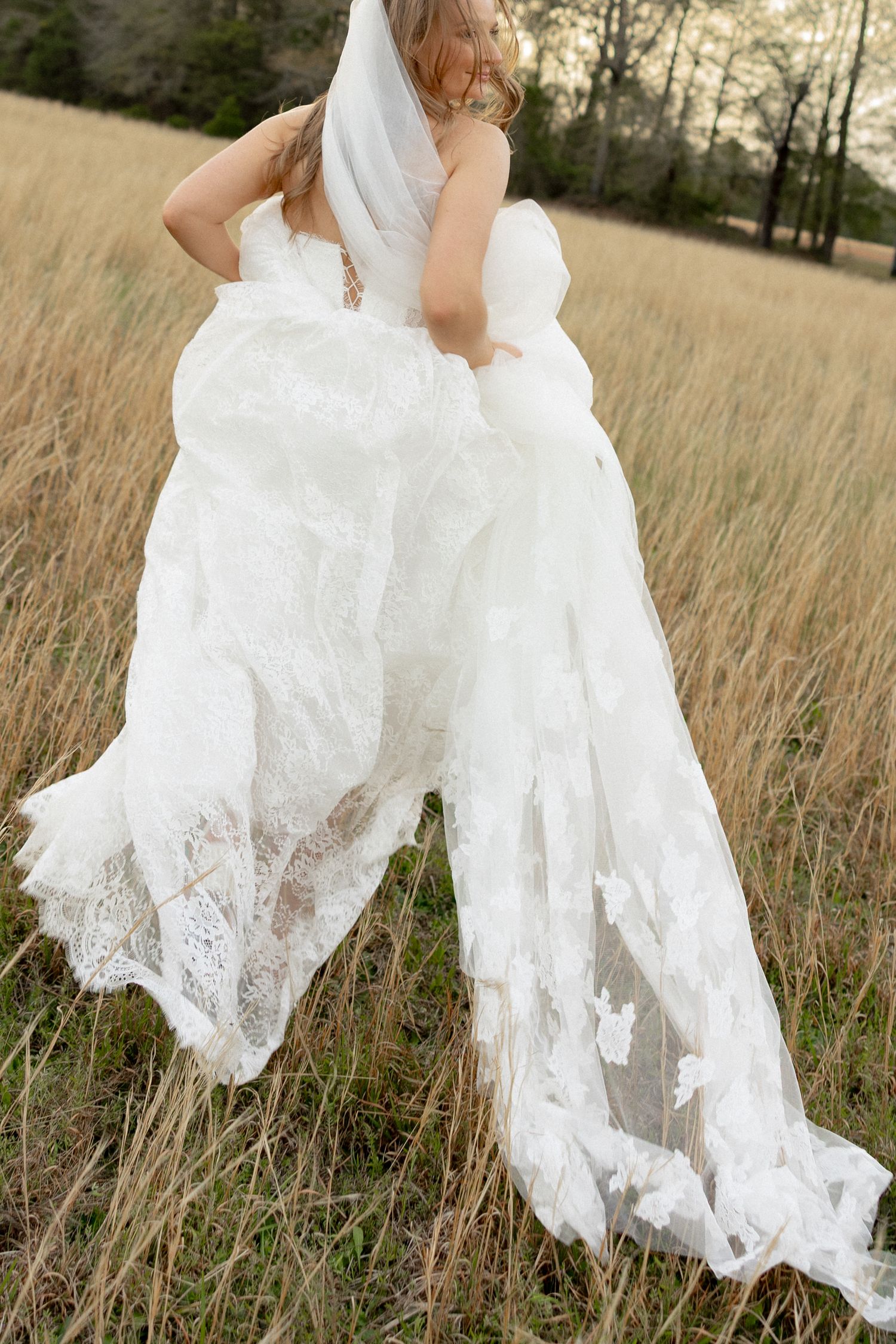 Bride in white lace wedding gown with veil walking through golden field, holding up her dress train.