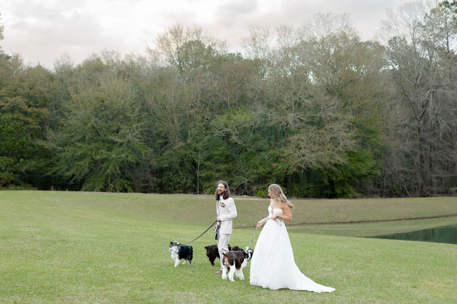 Bride and groom walking three dogs across a lush green field at their outdoor wedding.