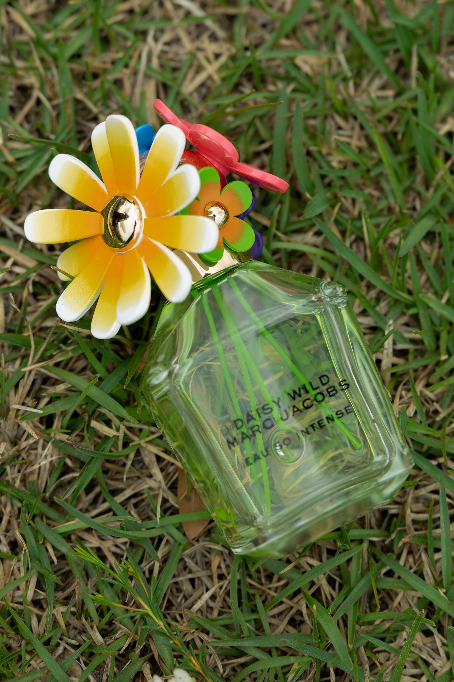 Marc Jacobs Daisy Wild Eau Intense perfume bottle with colorful daisy topper resting on green grass.