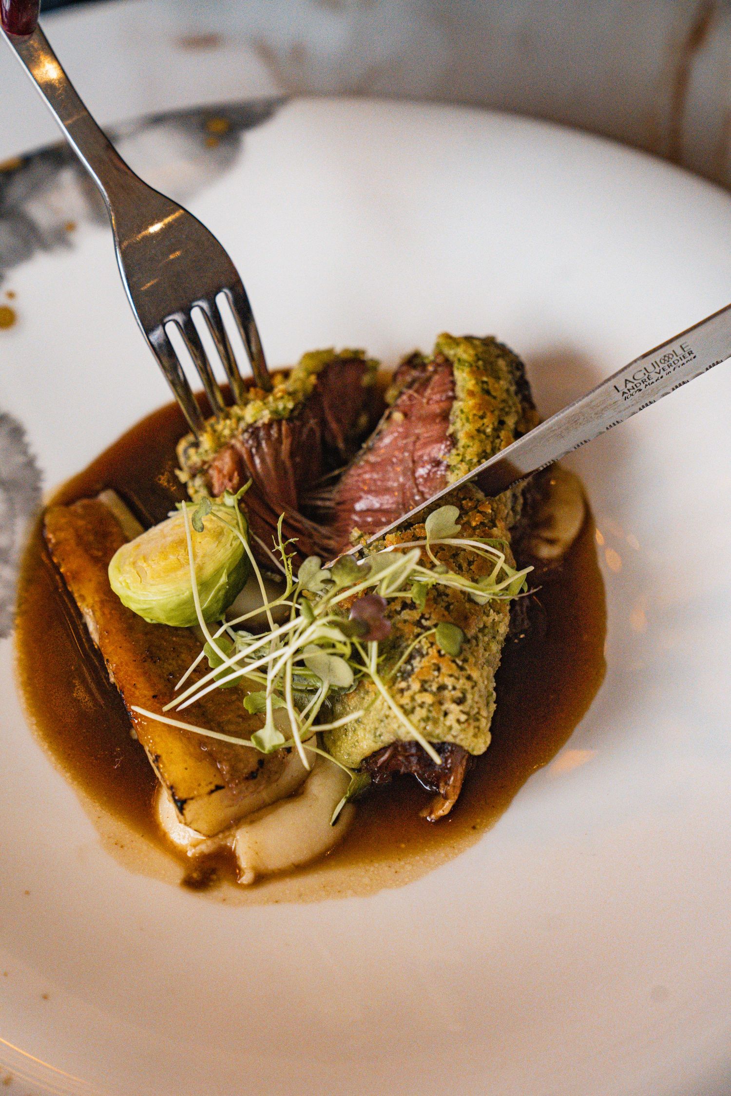 Gourmet meat dish with green herb crust and microgreens served in rich brown sauce.