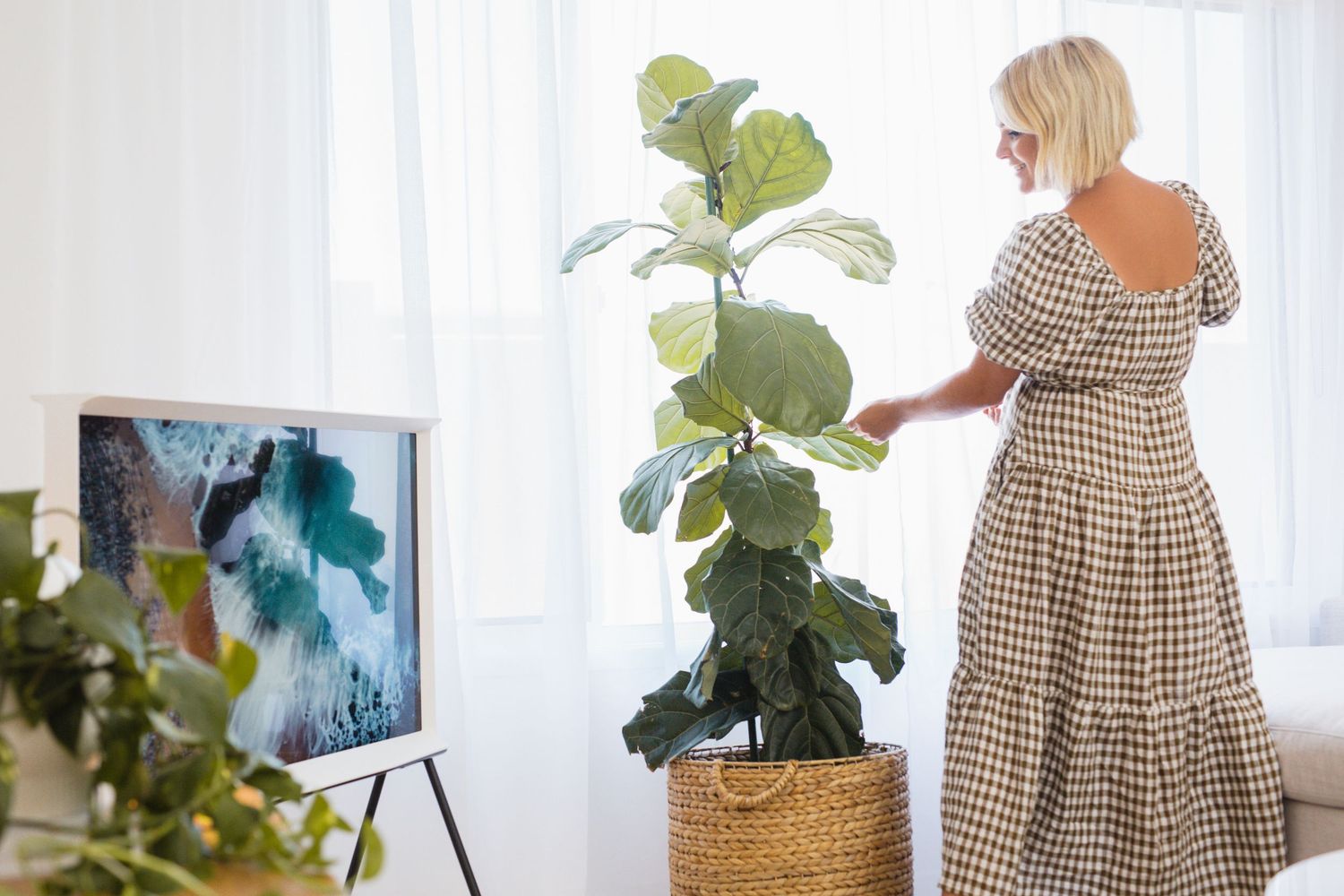 Woman in gingham dress tending to a fiddle leaf fig plant beside a framed TV on an easel in a bright room.