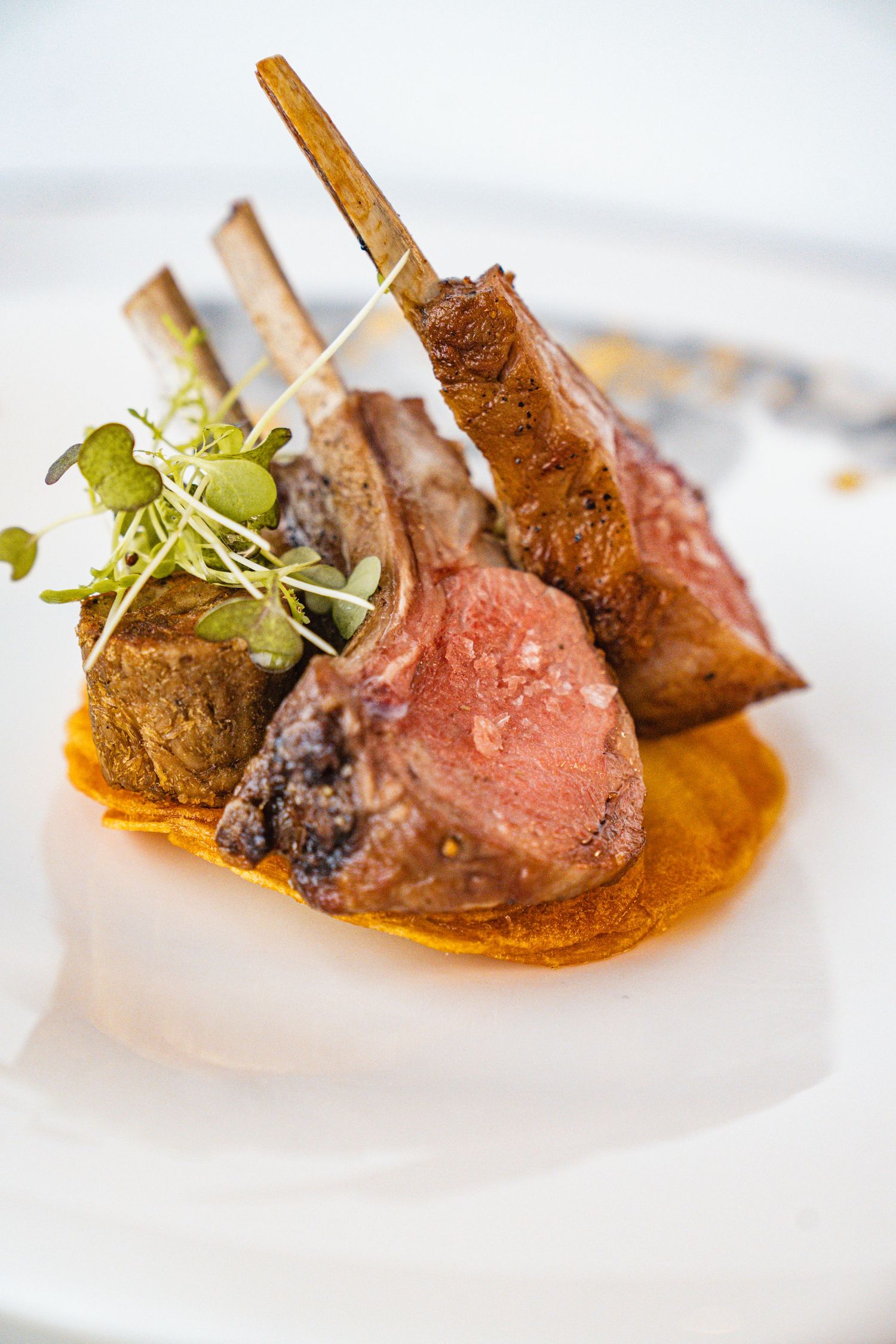 Medium-rare lamb chops with microgreens and sauce served on an elegant white plate.