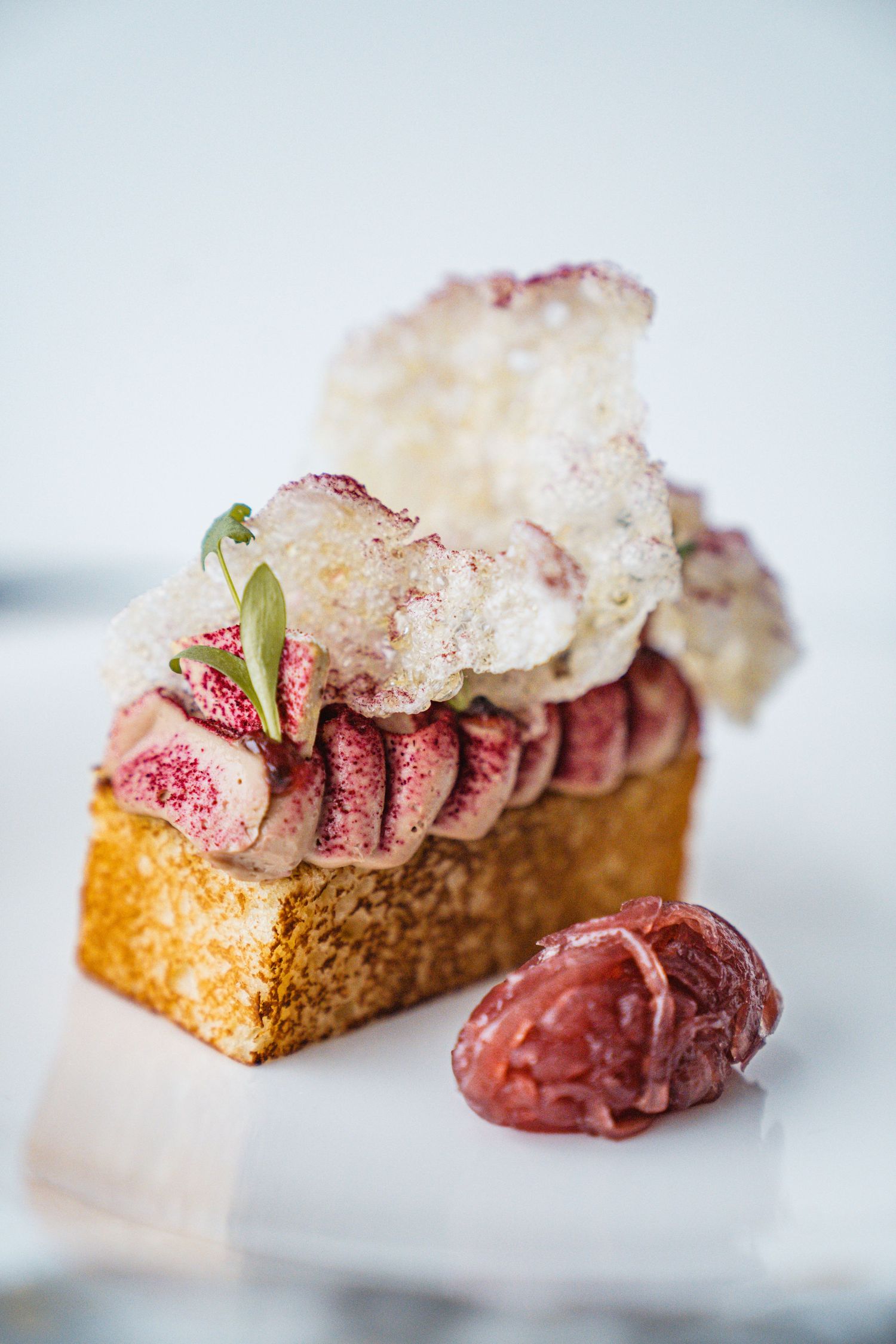 Elegant plated dessert with dark red sorbet and delicate white garnish on a light colored base.