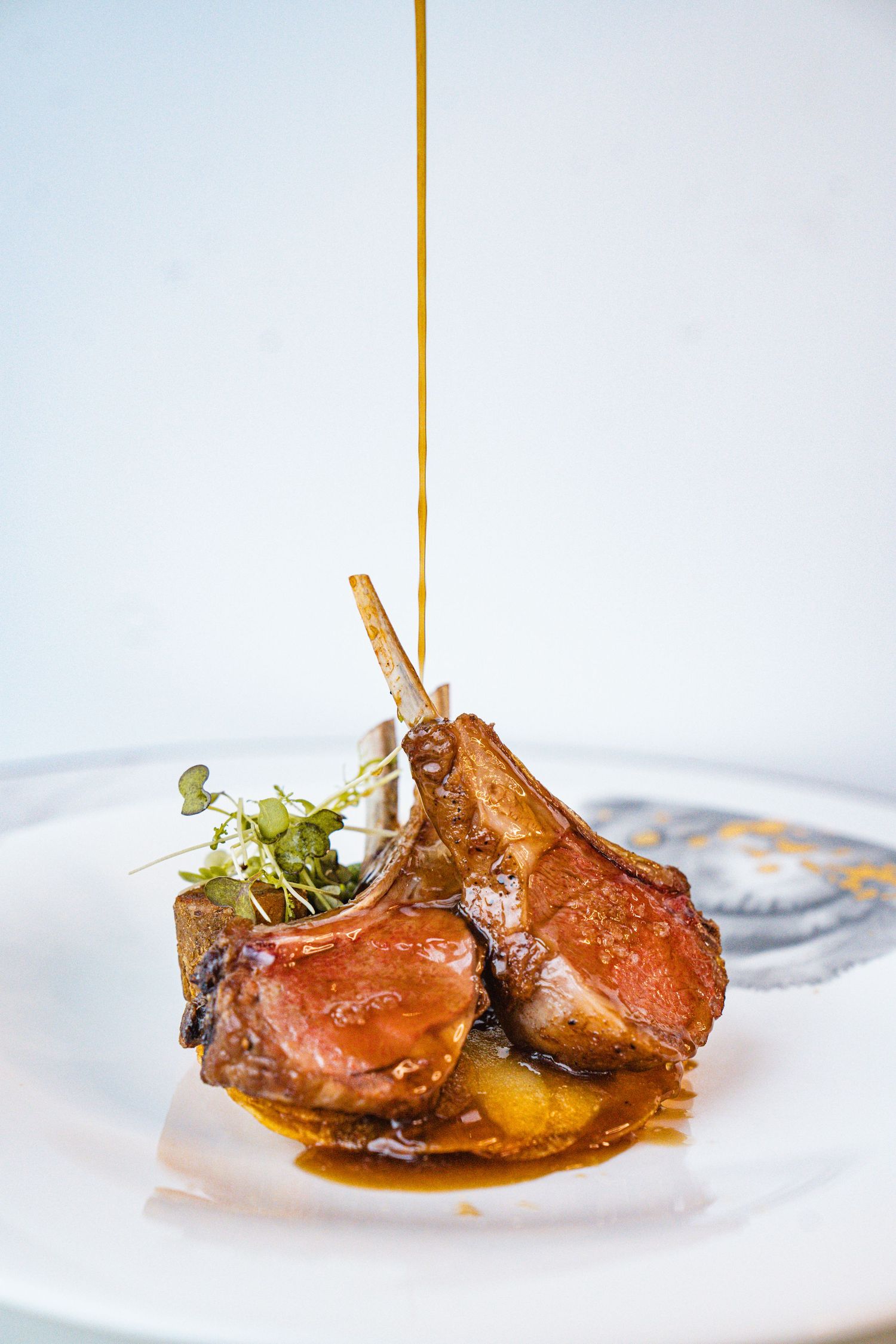 Gourmet lamb chops drizzled with sauce and garnished with microgreens on a white plate.