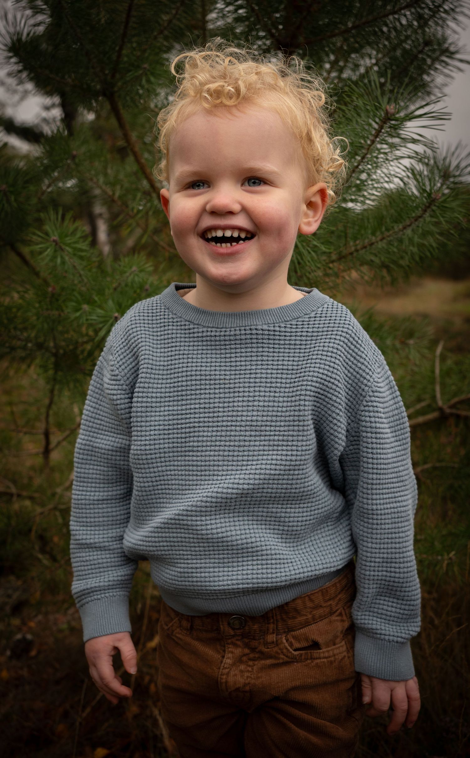 A child wearing a blue waffle knit sweater smiles joyfully against pine trees. - omgeving Eindhoven, Den Bosch, Boxtel, Schijndel, Esch, Lie
