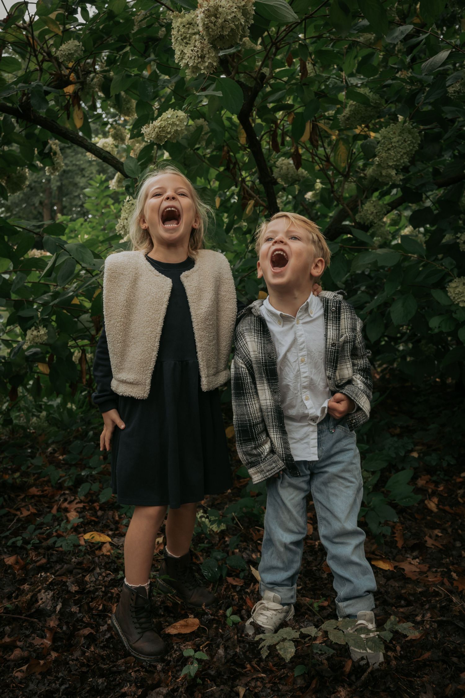 Sophie Mollee Photography - omgeving Eindhoven, Den Bosch, Boxtel, Schijndel, Esch, Liempde, Best, Rosmalen