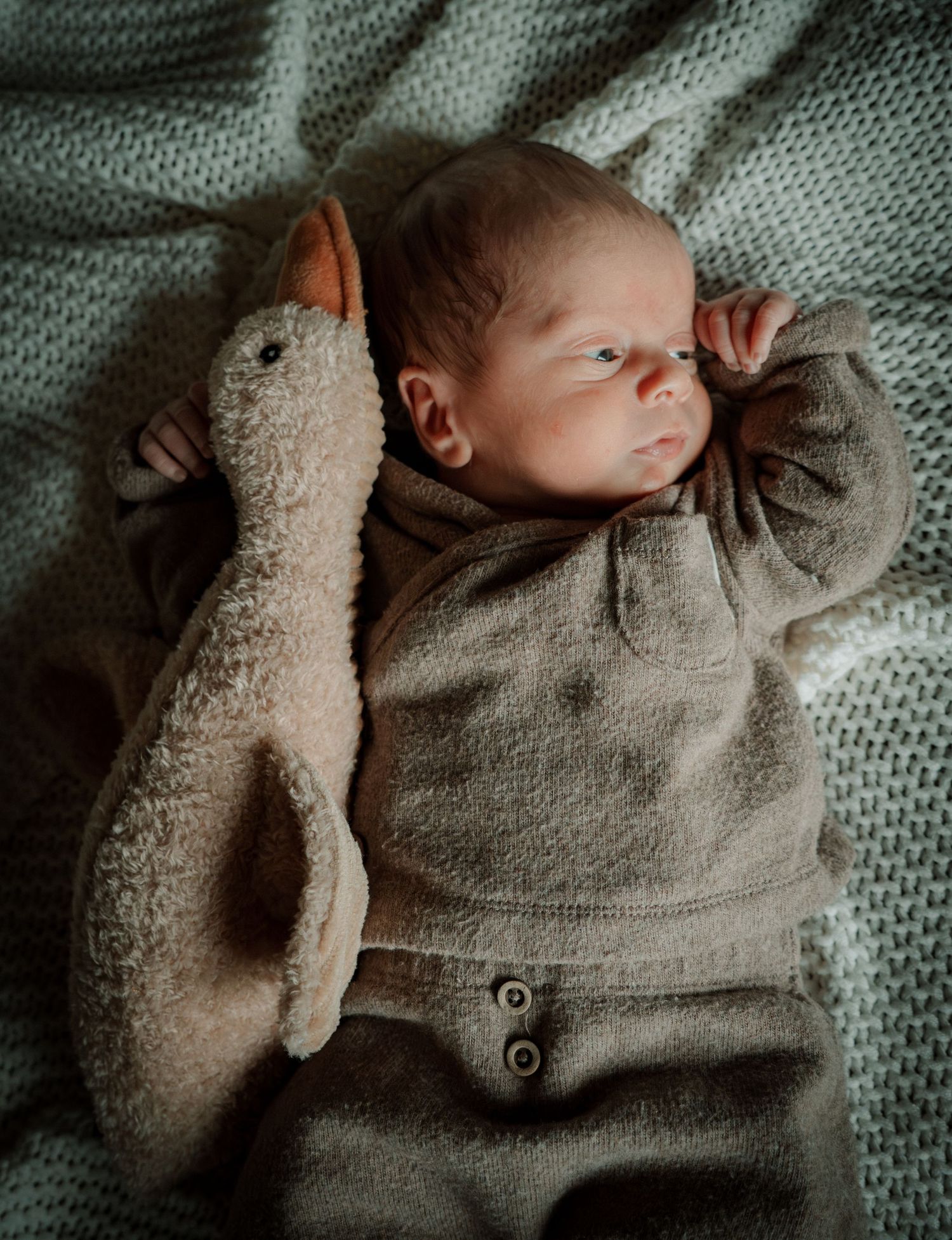 Infant sleeping peacefully on soft knitted blanket wearing cozy gray sweater in muted natural lighting.