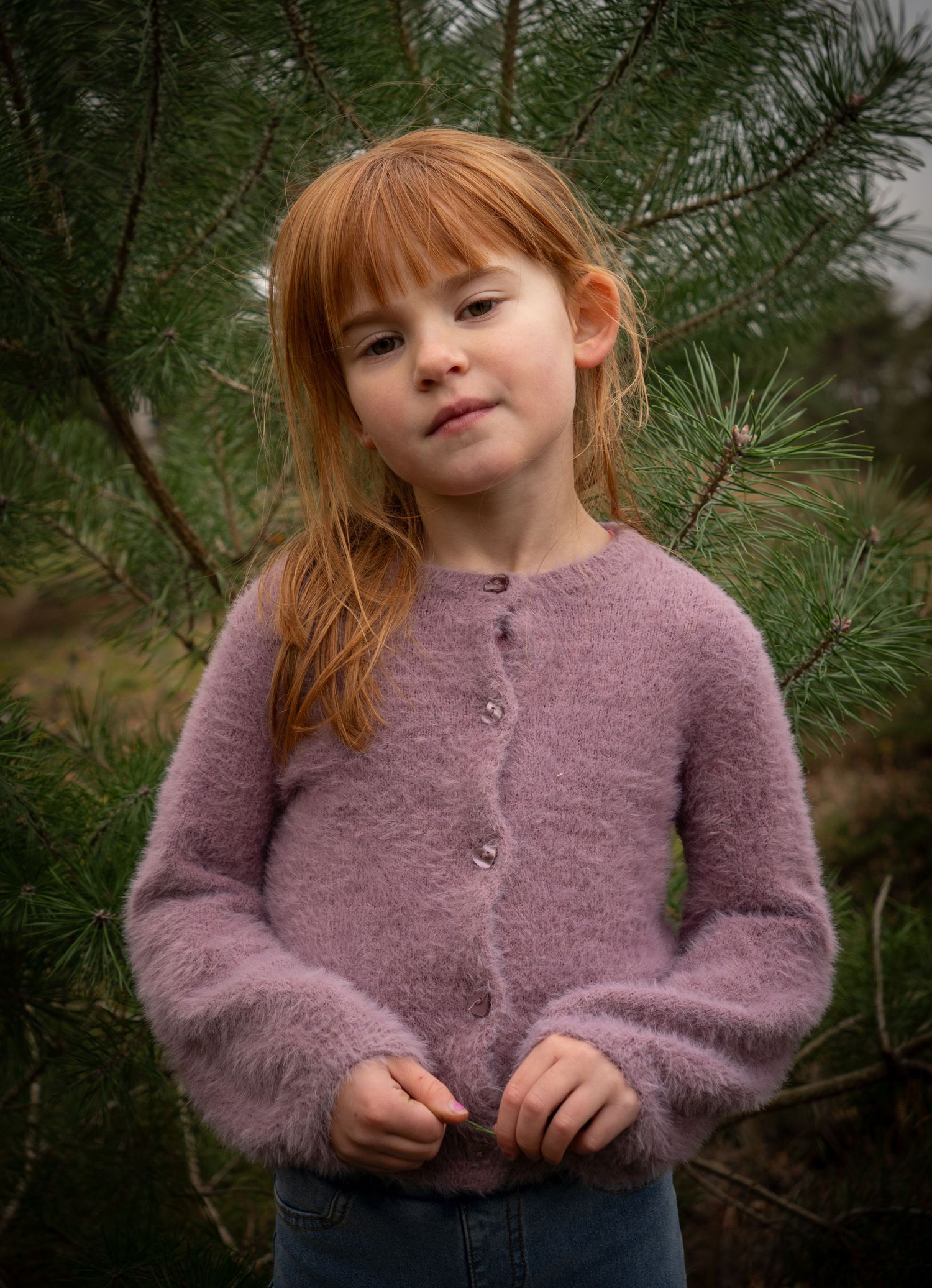 A series of close-up shots showing a fuzzy purple cardigan against an evergreen background. - omgeving Eindhoven, Den Bosch, Boxtel, Schijnd