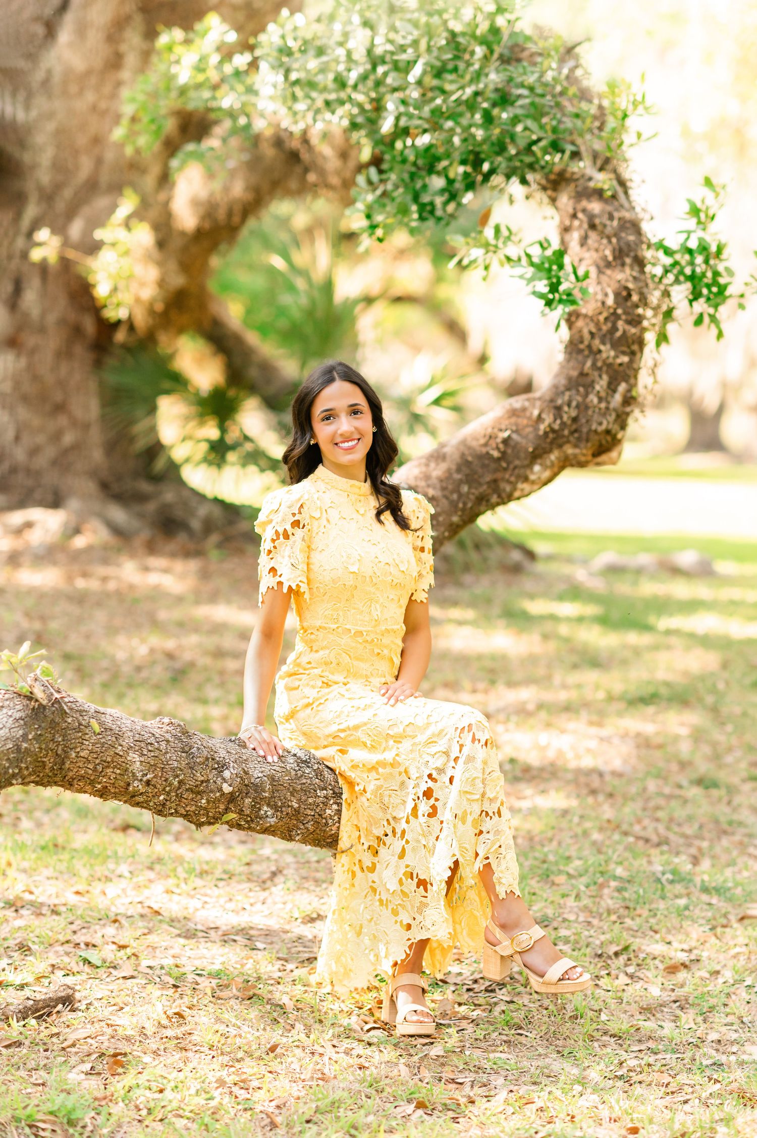 A young woman in a yellow lace dress sits on a tree branch in a sunlit park, smiling warmly.