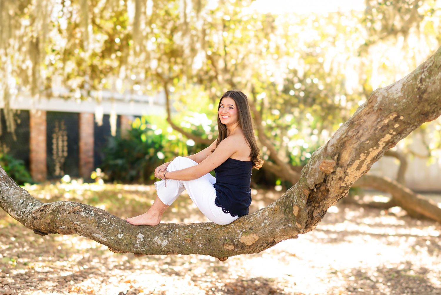 Young woman in white pants and navy top sitting gracefully on a large tree branch in a sunlit park.