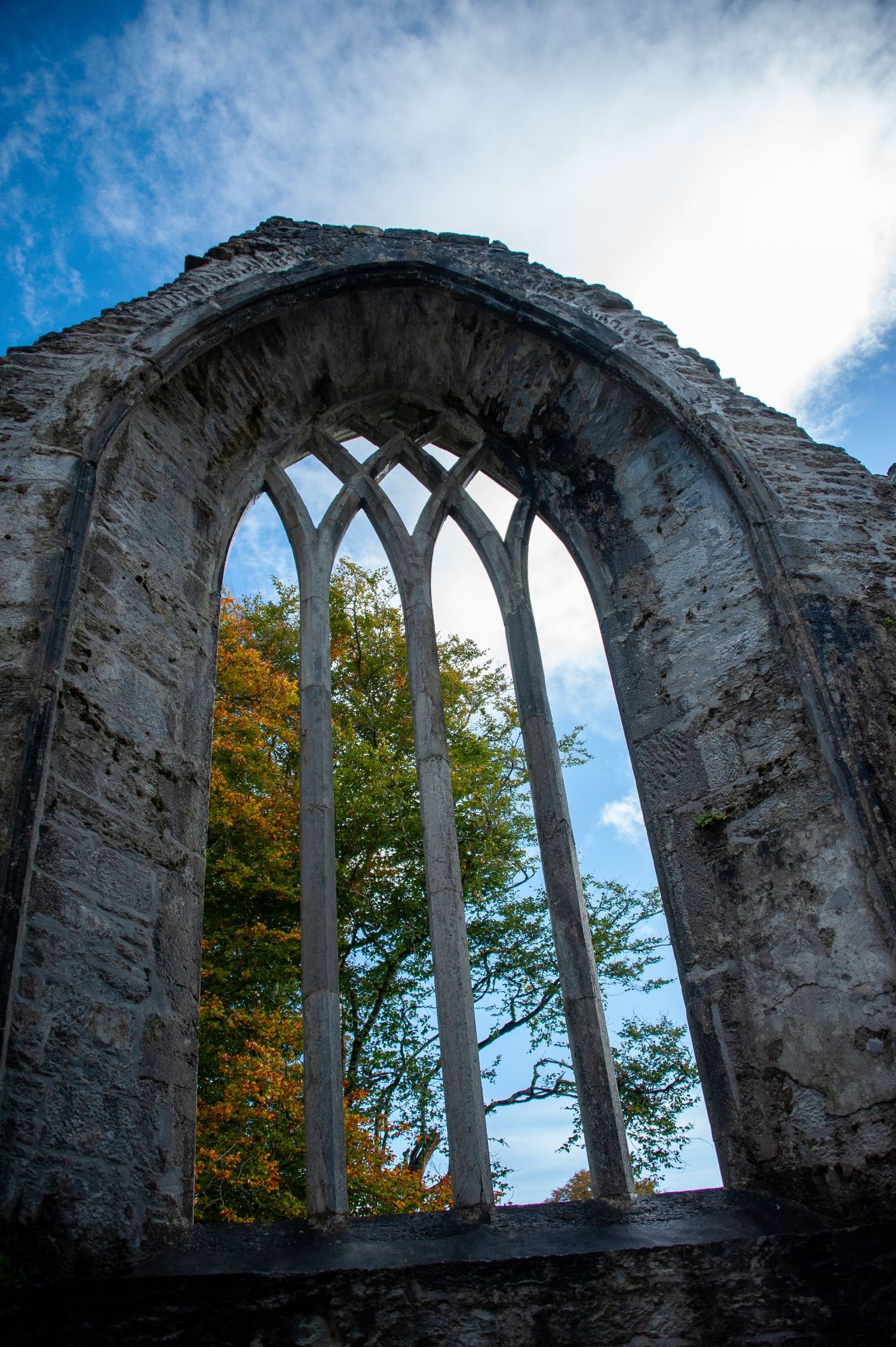 Ancient stone archway ruins with Gothic windows framing blue sky and autumn foliage.