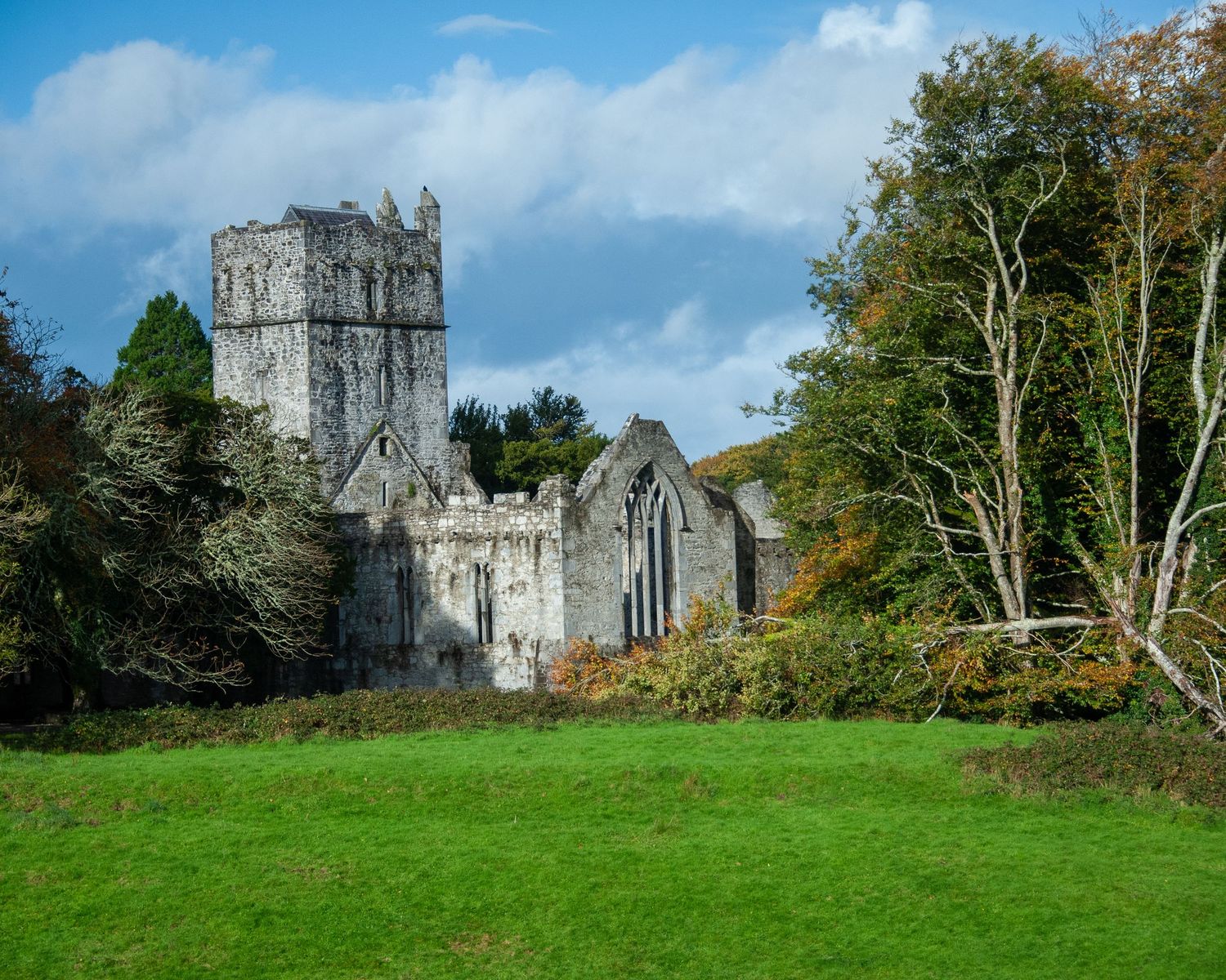 Ancient stone ruins of a medieval church with tower standing in a green field surrounded by trees.