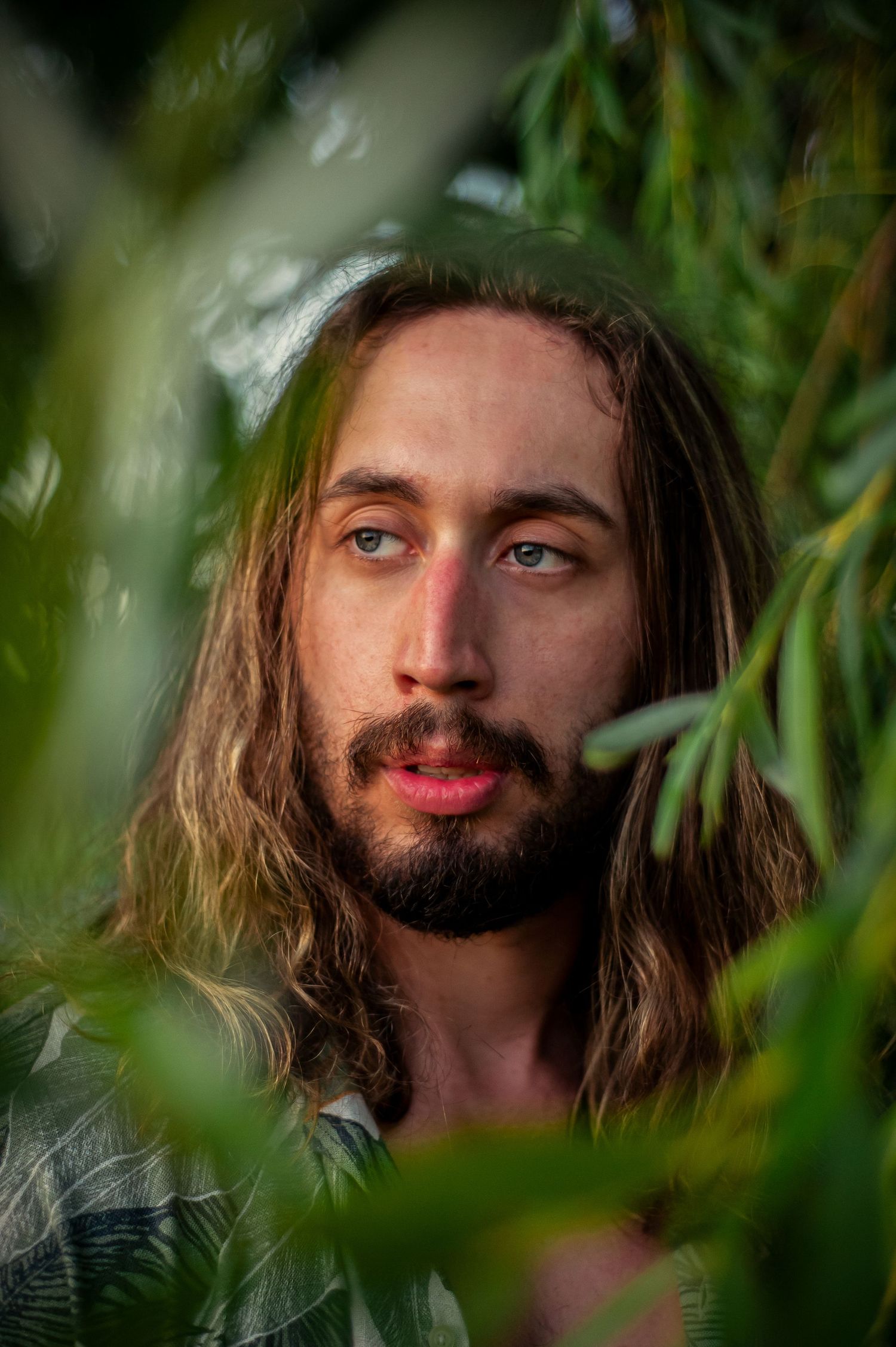 Artistic portrait through leaves of person in tropical print shirt.