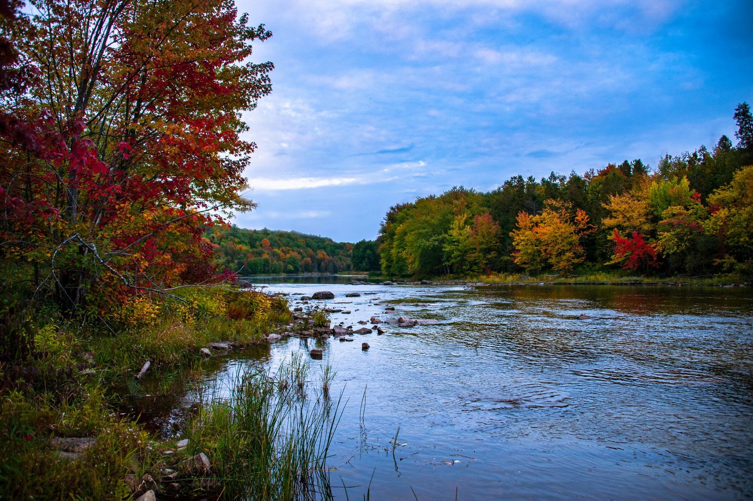 Panoramic view of a serene river surrounded by vibrant fall foliage under blue skies.