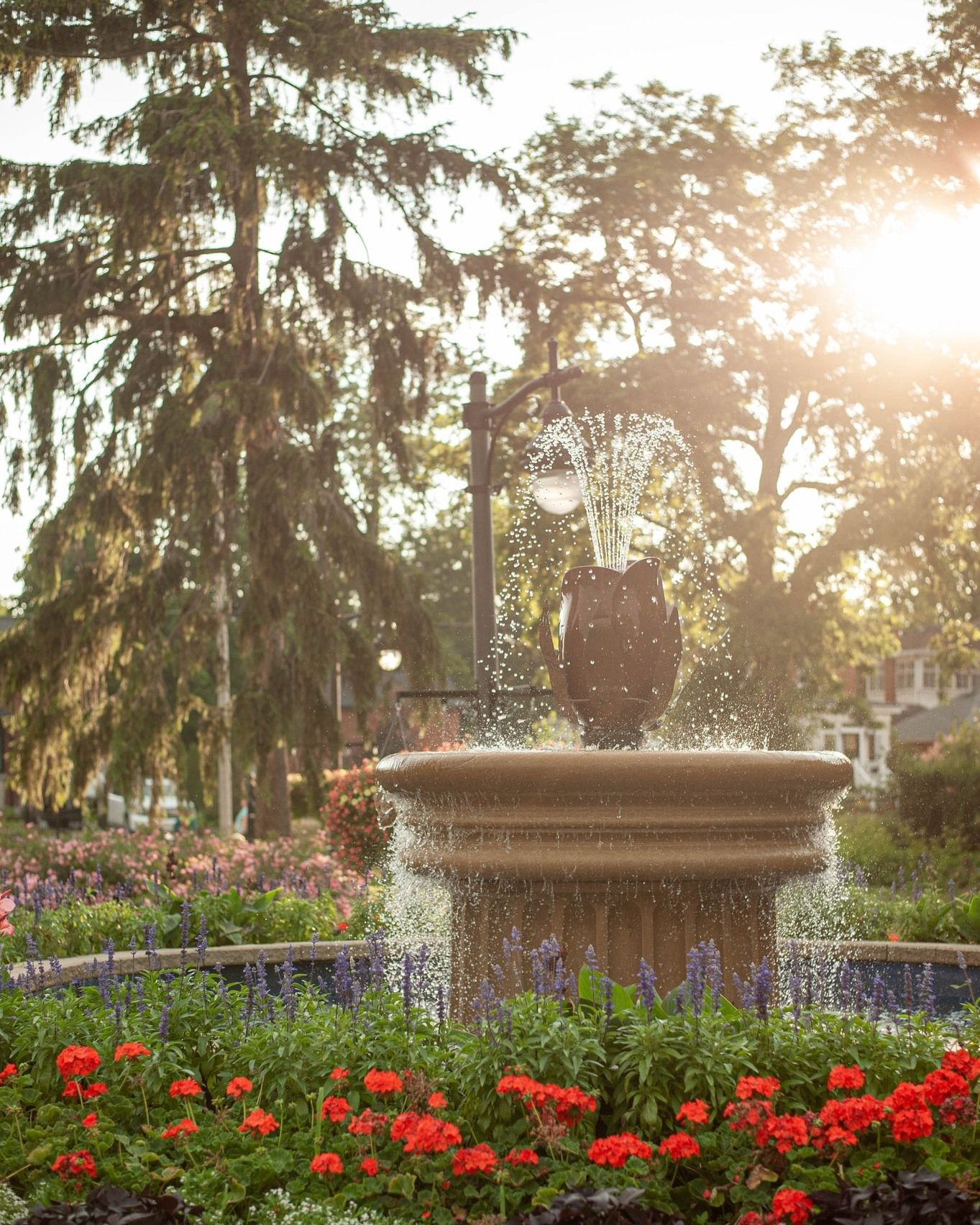 Beautiful garden fountain sprays water among blooming red tulips and purple flowers at sunset.