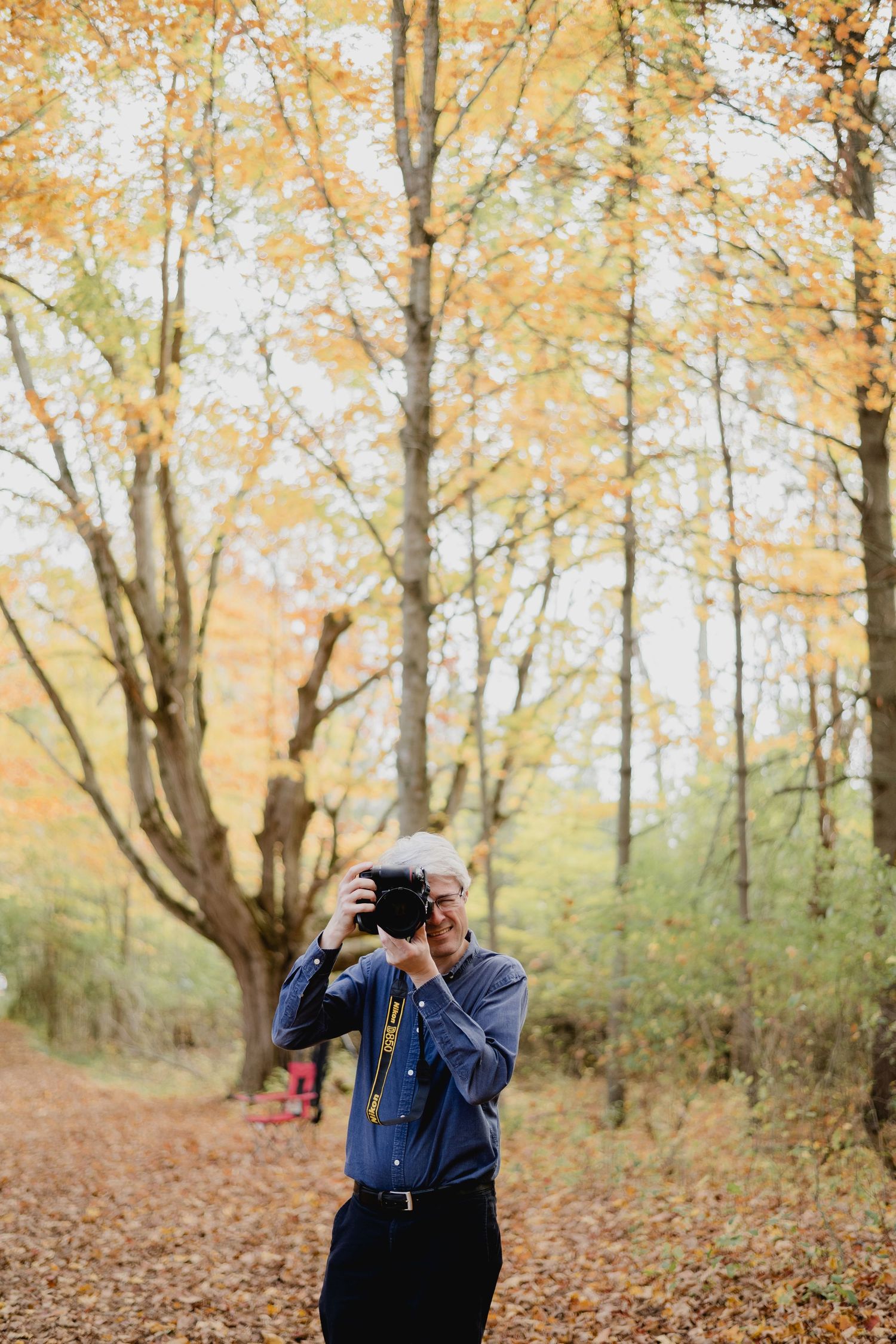 A couple embraces in a romantic autumn forest setting surrounded by golden leaves and trees.