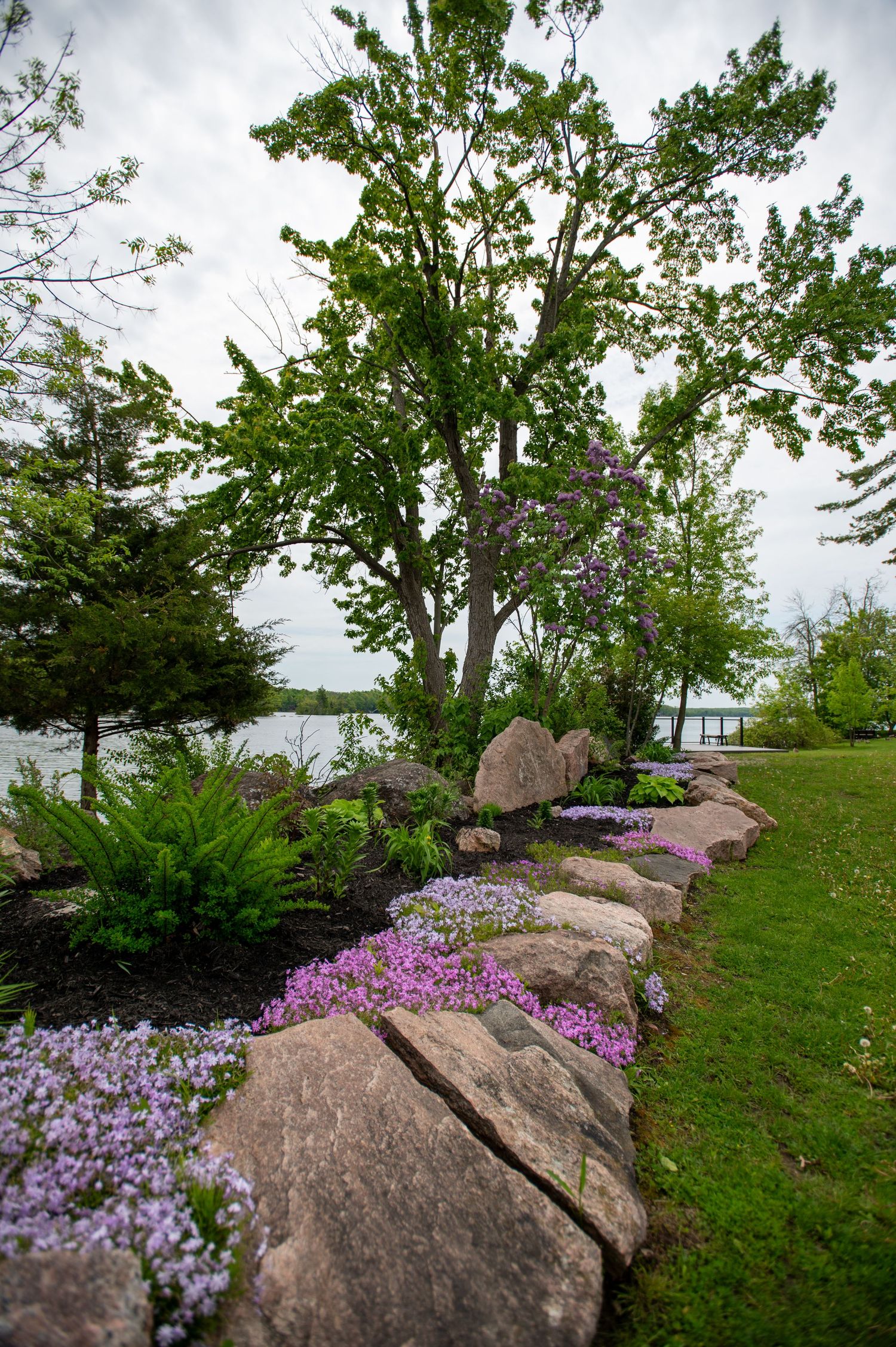 Purple wildflowers bloom along rocky outcrops in a scenic garden landscape.