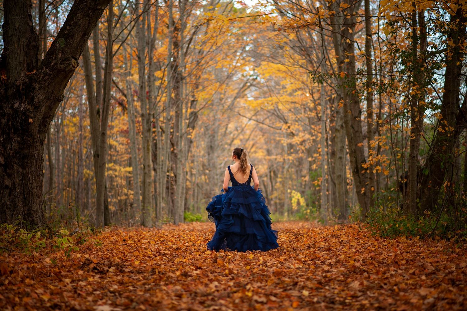 Golden autumn leaves carpet a wooded path surrounded by tall trees with warm fall colors.