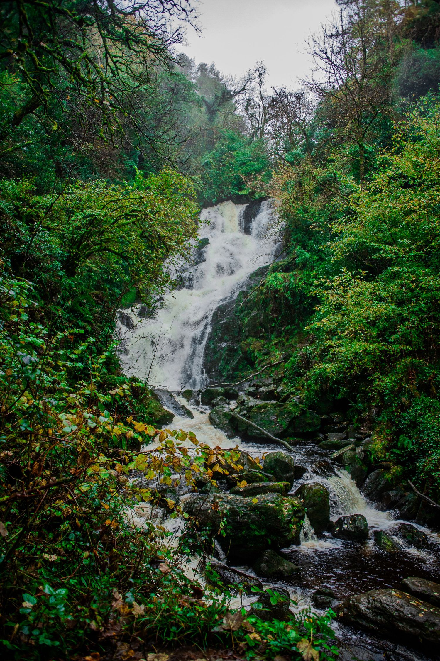 Scenic cascading waterfall flowing through lush green forest landscape.