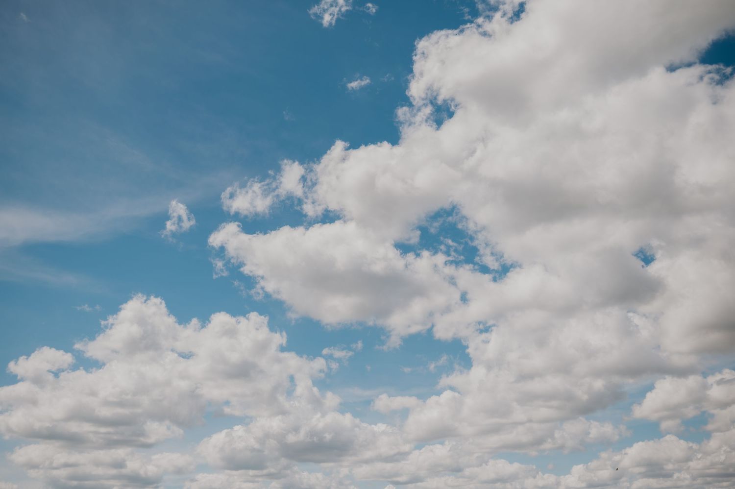 White puffy cumulus clouds drift across a vibrant blue summer sky in a dramatic daytime view.