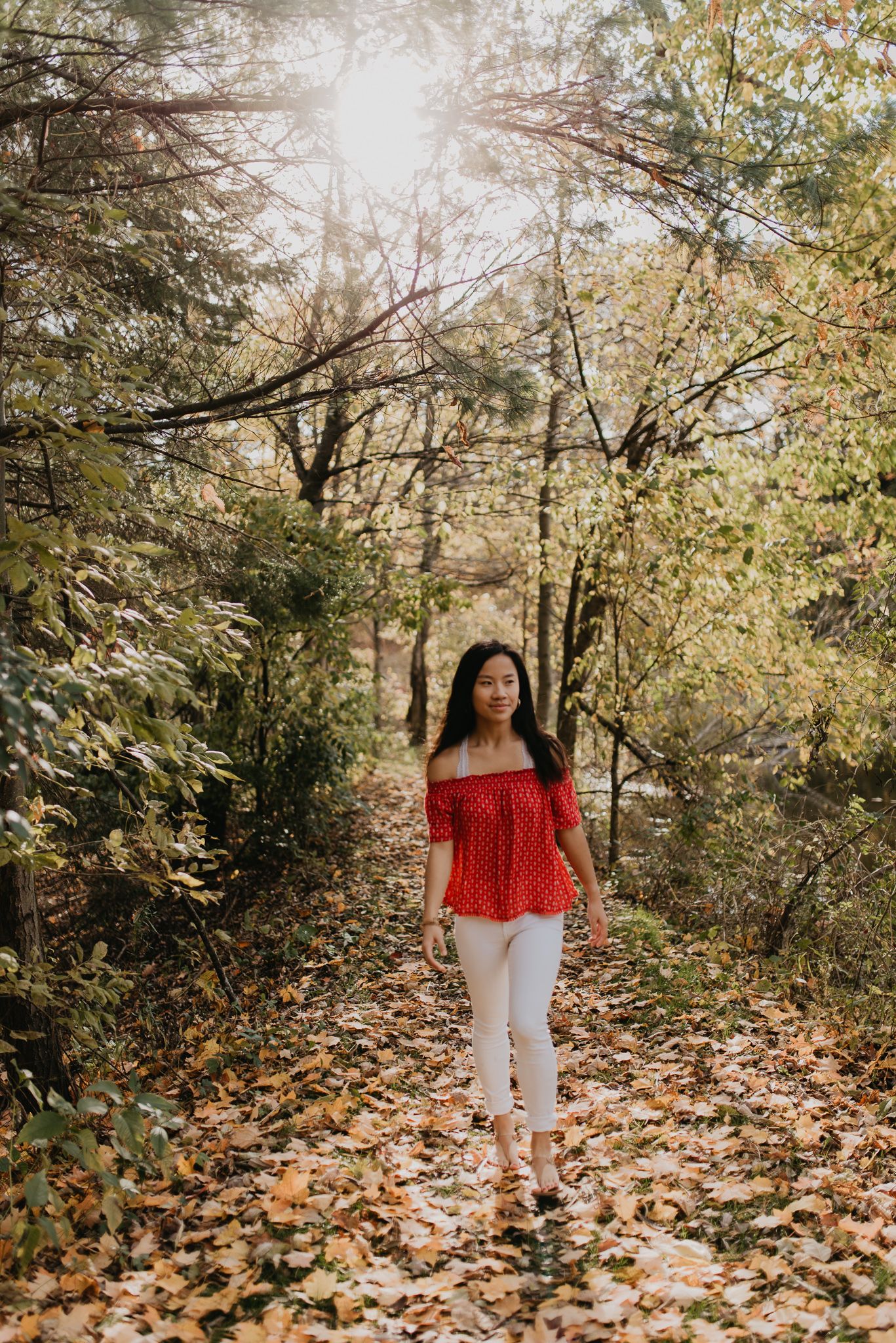 Scenic forest path portrait with sunlight filtering through trees.
