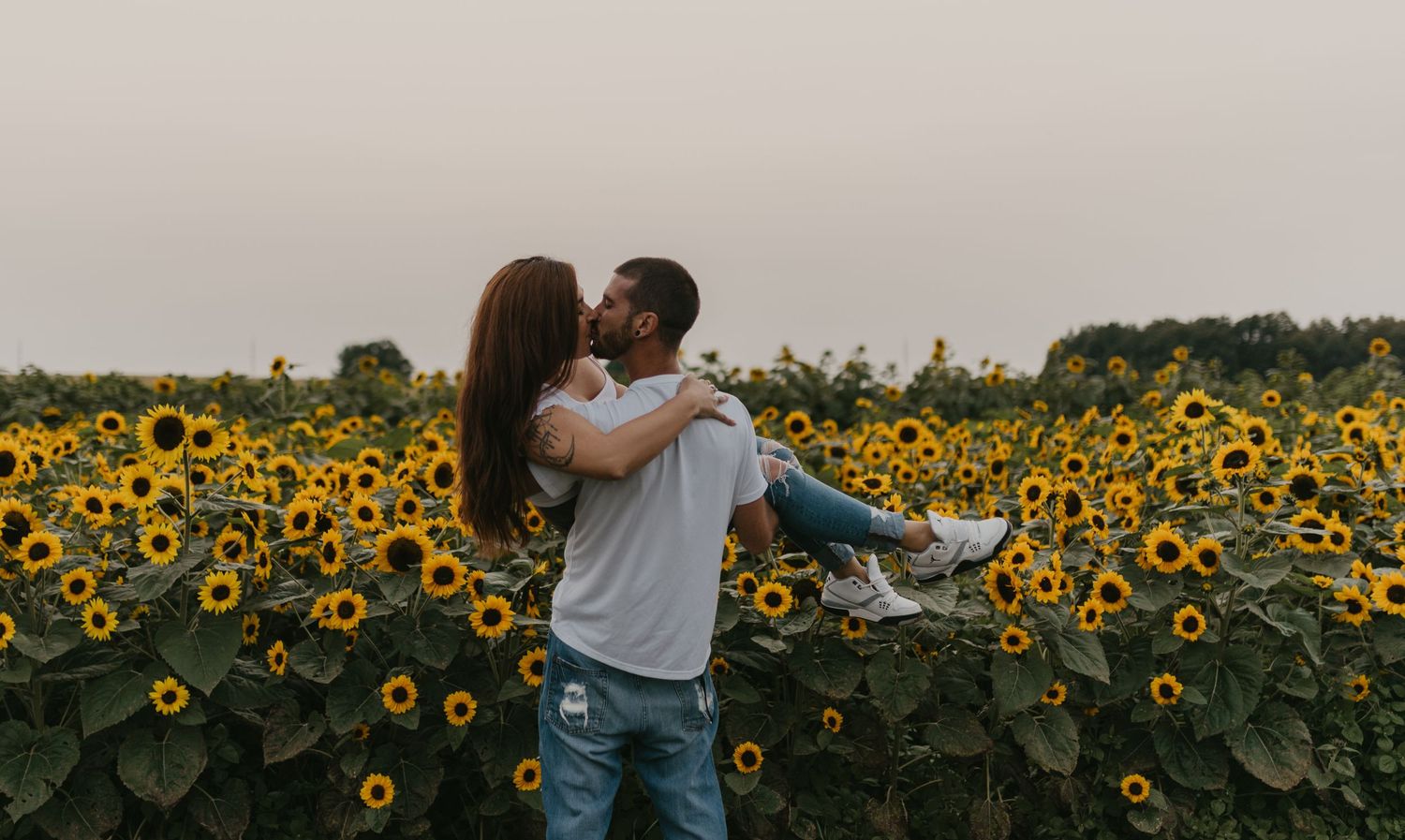 A sunflower field stretches across the horizon at golden hour.