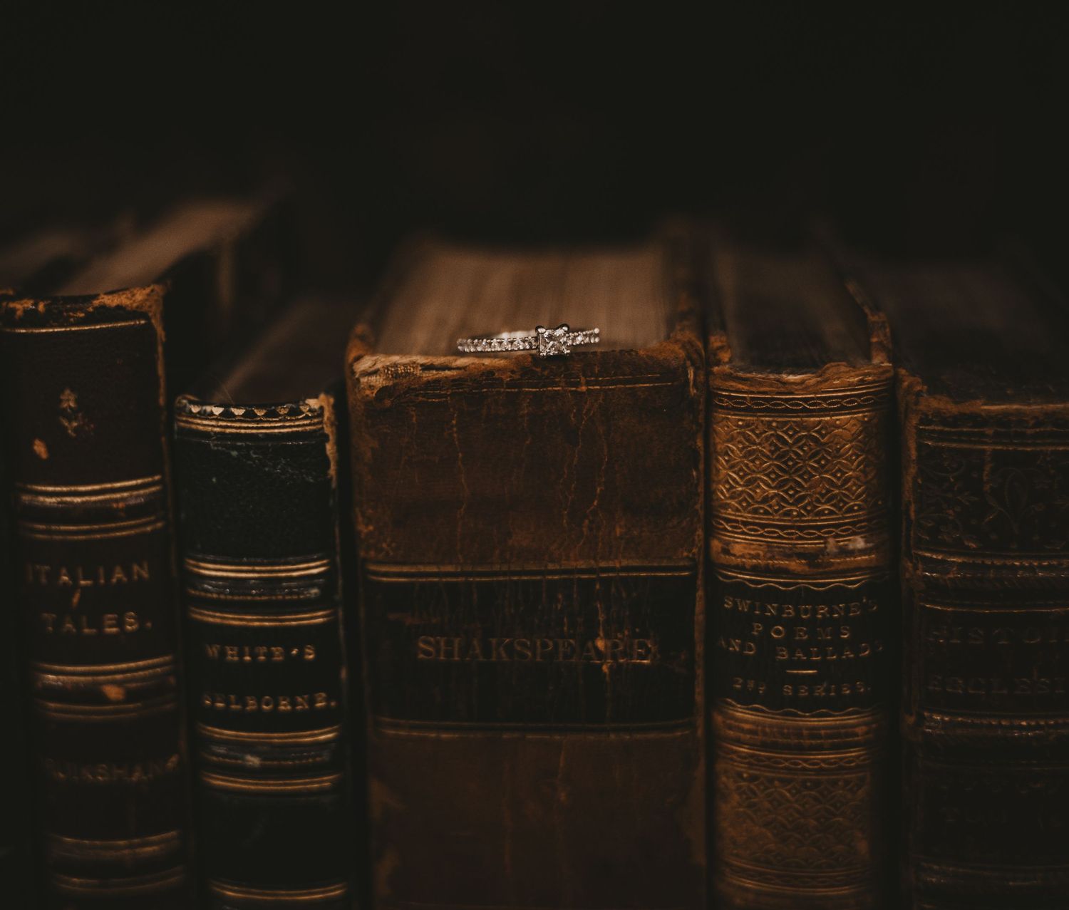 Vintage leather-bound books with gold lettering arranged on a dark wooden shelf in moody lighting.