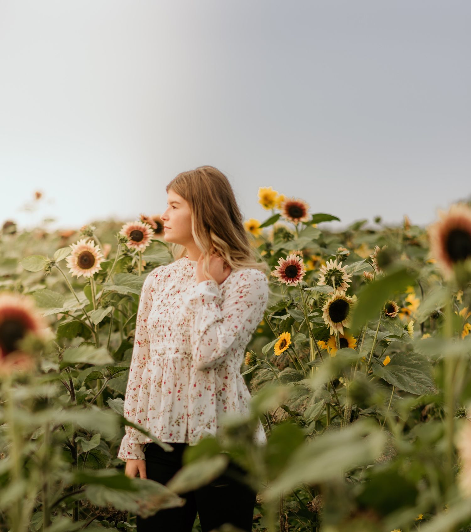 Someone in a white lace blouse stands thoughtfully among tall blooming sunflowers in a dreamy summer field.