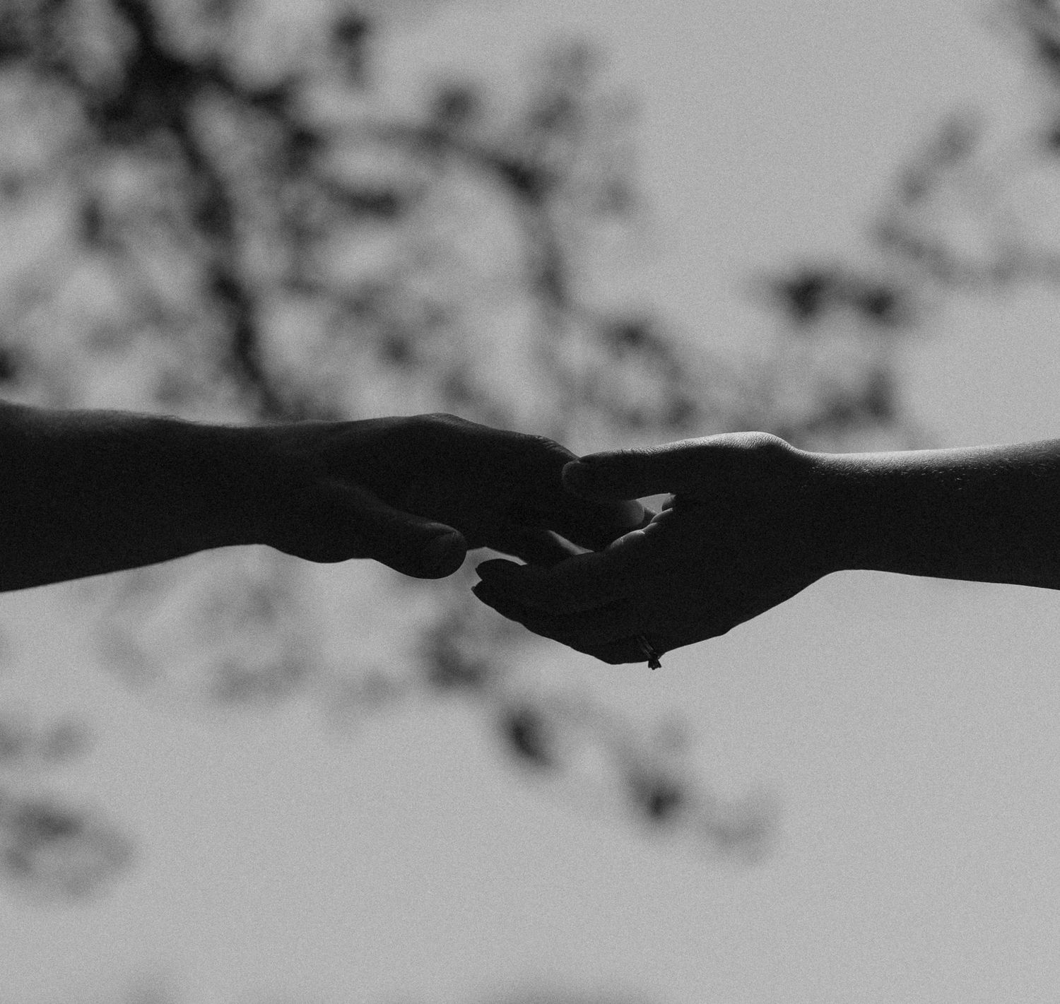 Two silhouetted hands reaching towards each other against a blurred background in a touching moment.
