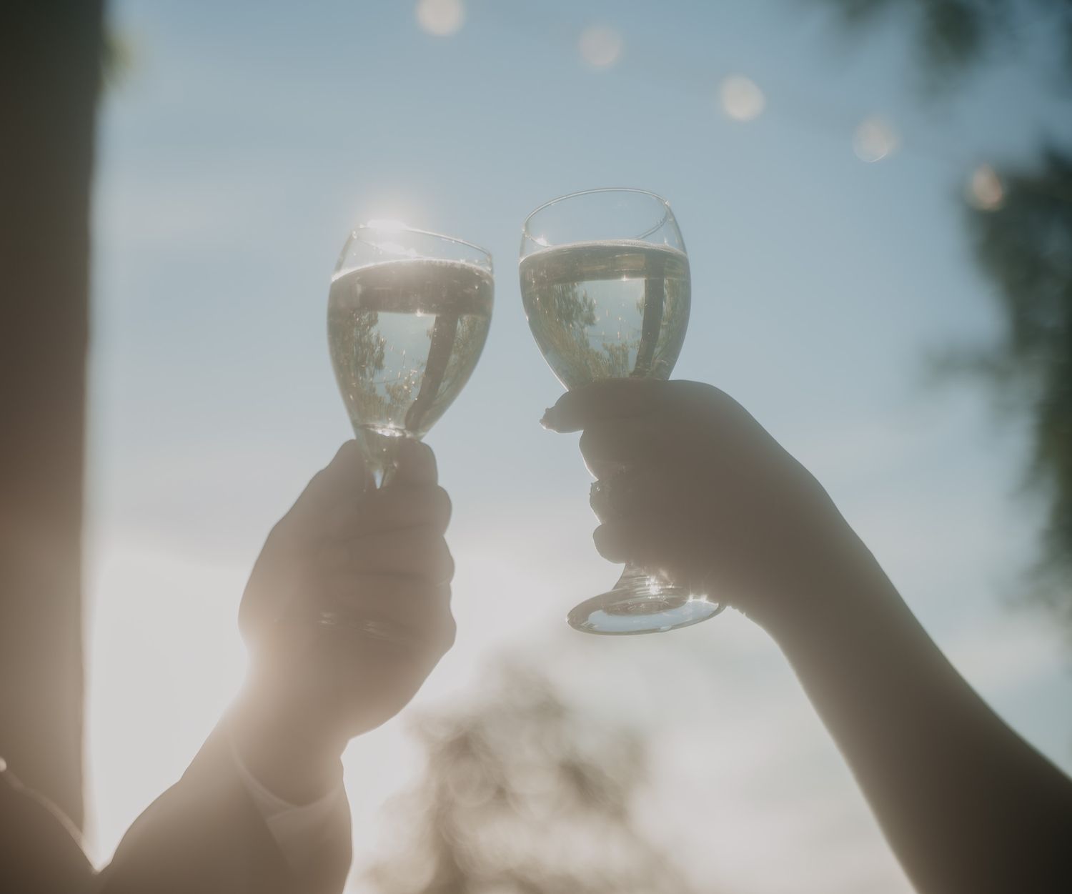 Two hands clinking champagne glasses in a celebratory toast against a soft sunset sky with bokeh lights.