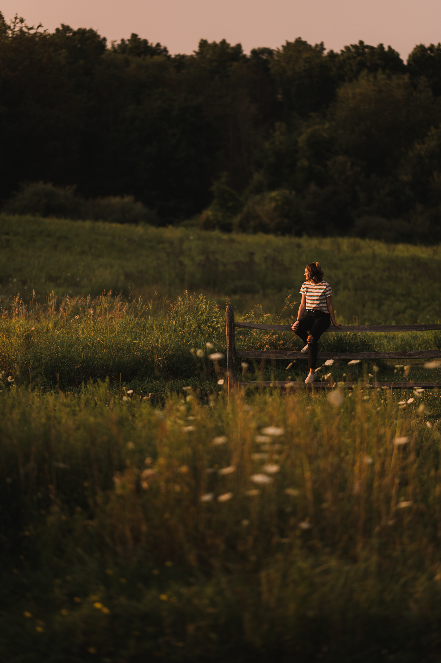 A silhouette of a person sitting on a fence post at sunset in a meadow.