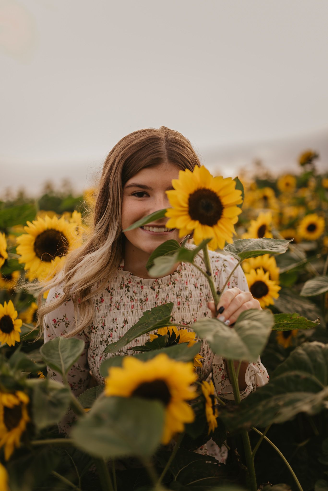 A dreamy portrait in a sunflower field with someone wearing a lace top surrounded by bright yellow blooms at sunset.